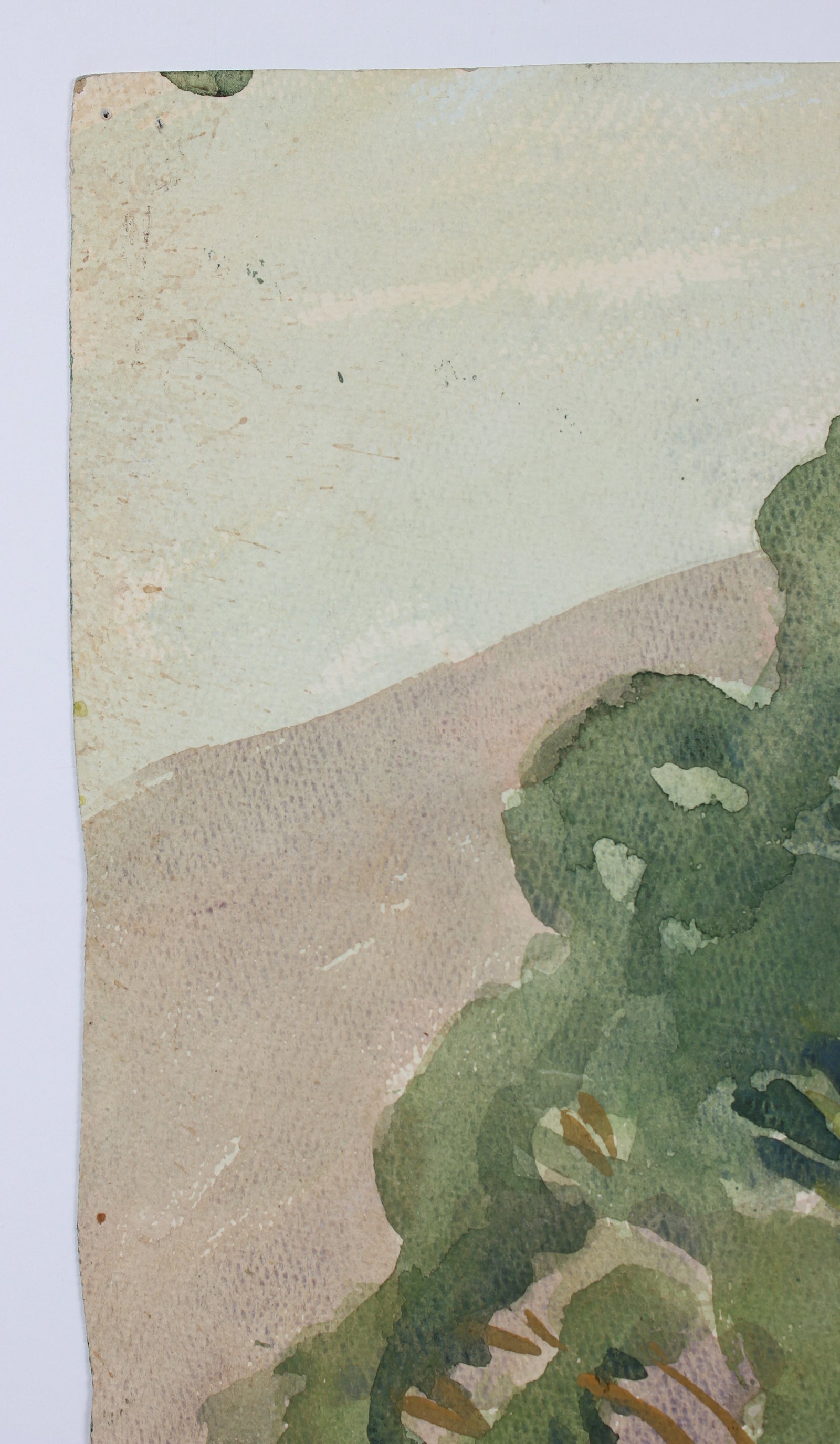 Watercolor Landscape with Cows<br>Mid Century<br><br>#88039