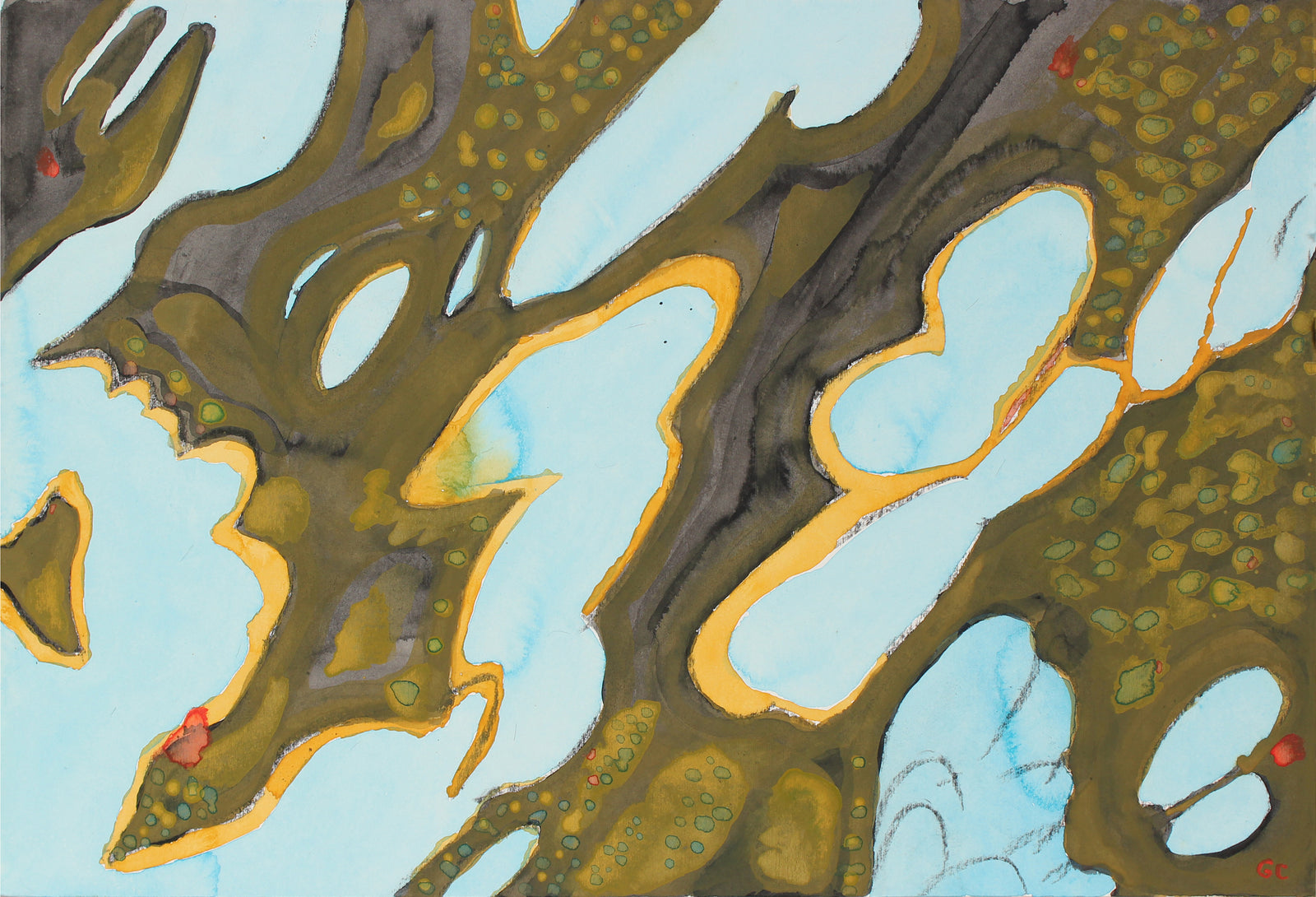 <i>Pileated Wood Pecker & Grape Harbor</i><br>2016 India Ink, Watercolor & Gouache<br><br>#90464