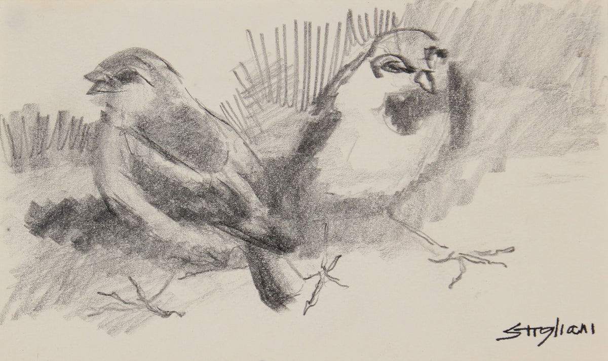 Two Birds Drawing &lt;br&gt;20th Century Graphite &lt;br&gt;&lt;br&gt;#90478