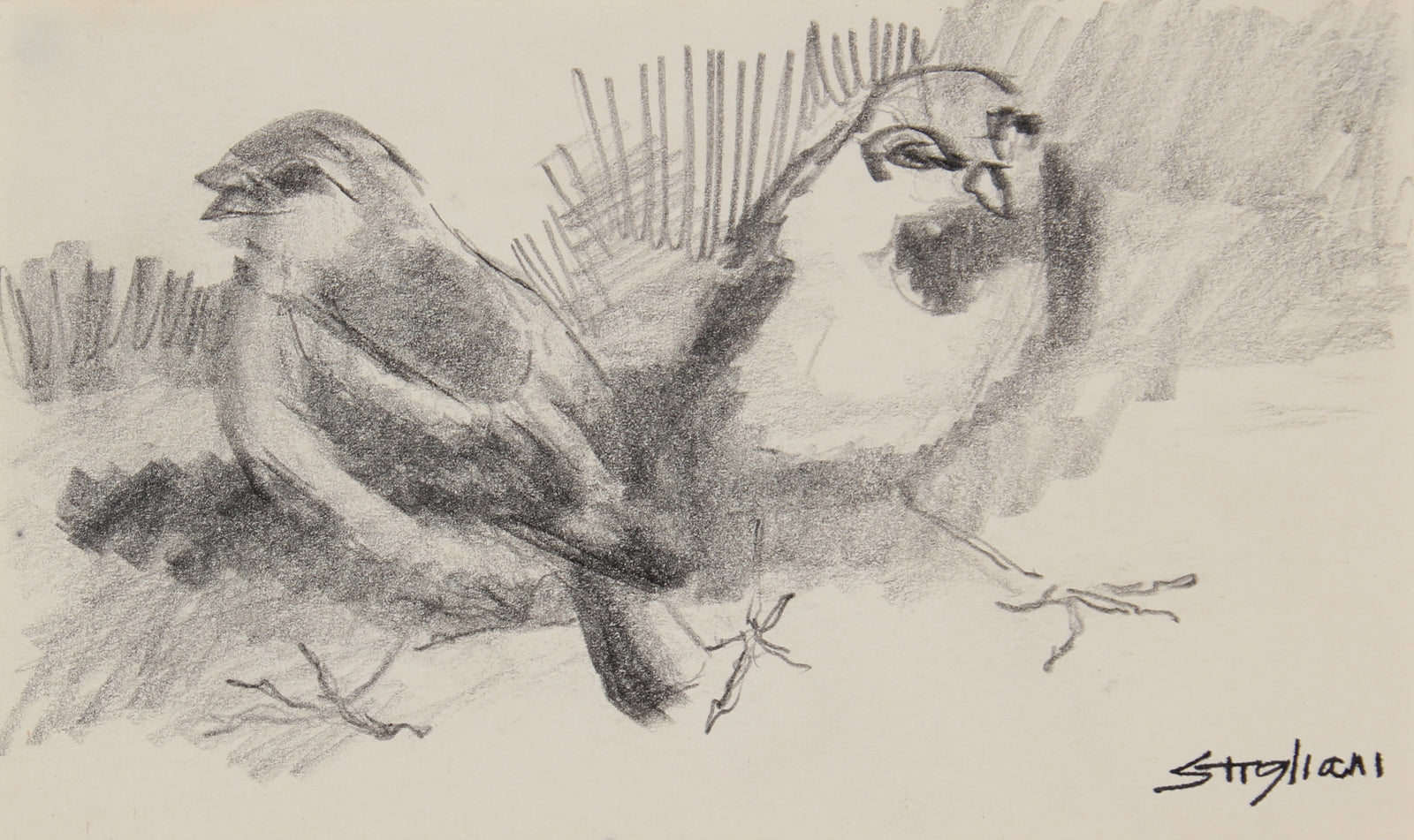 Two Birds Drawing <br>20th Century Graphite <br><br>#90478