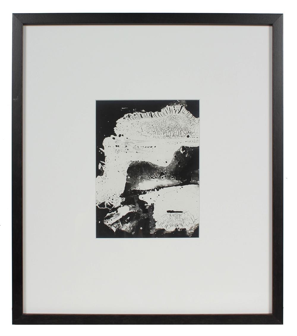 Ink on Film 1969 Abstracted Photograph<br><br>#96281