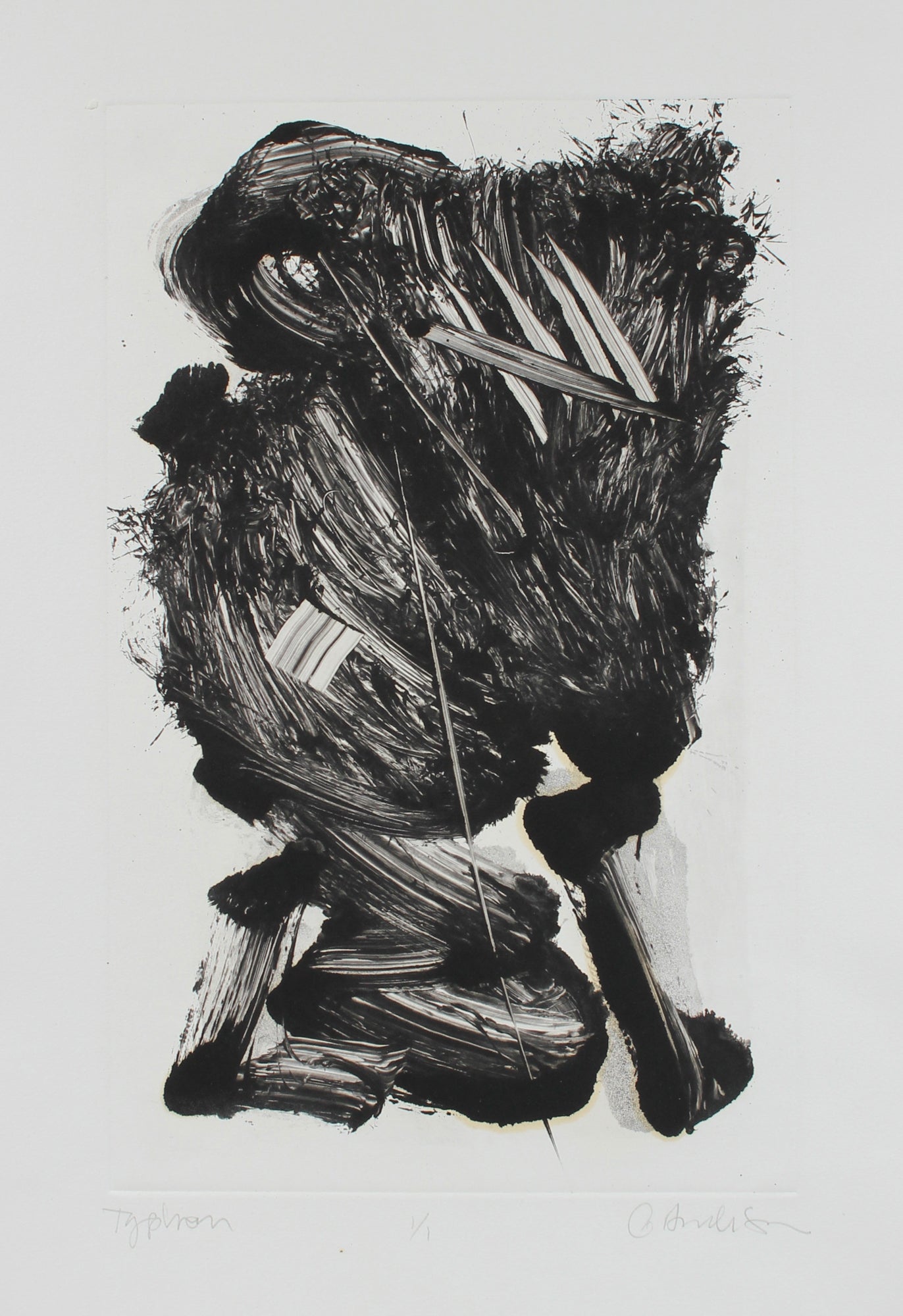 <I>Typhoon</I> <br>20th Century Monotype <br><br>#97635