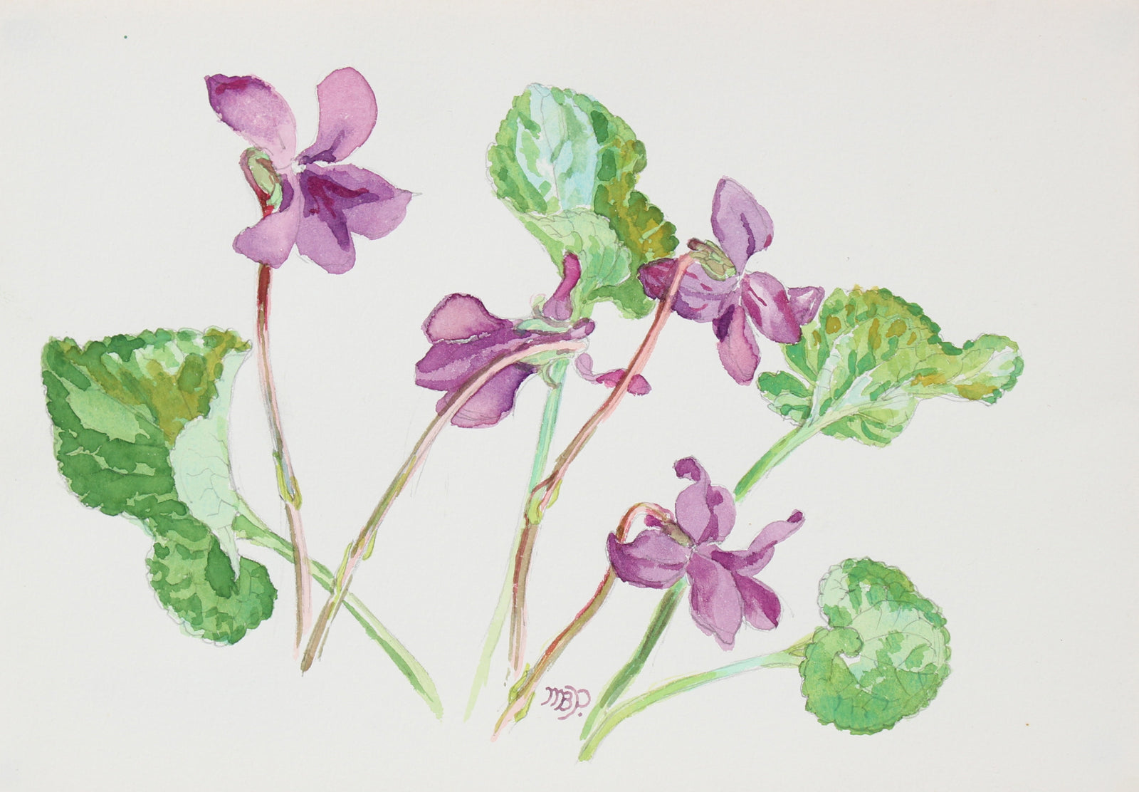 <i>Violets</i><br>Mid-Late 20th Century Watercolor<br><br>#98655