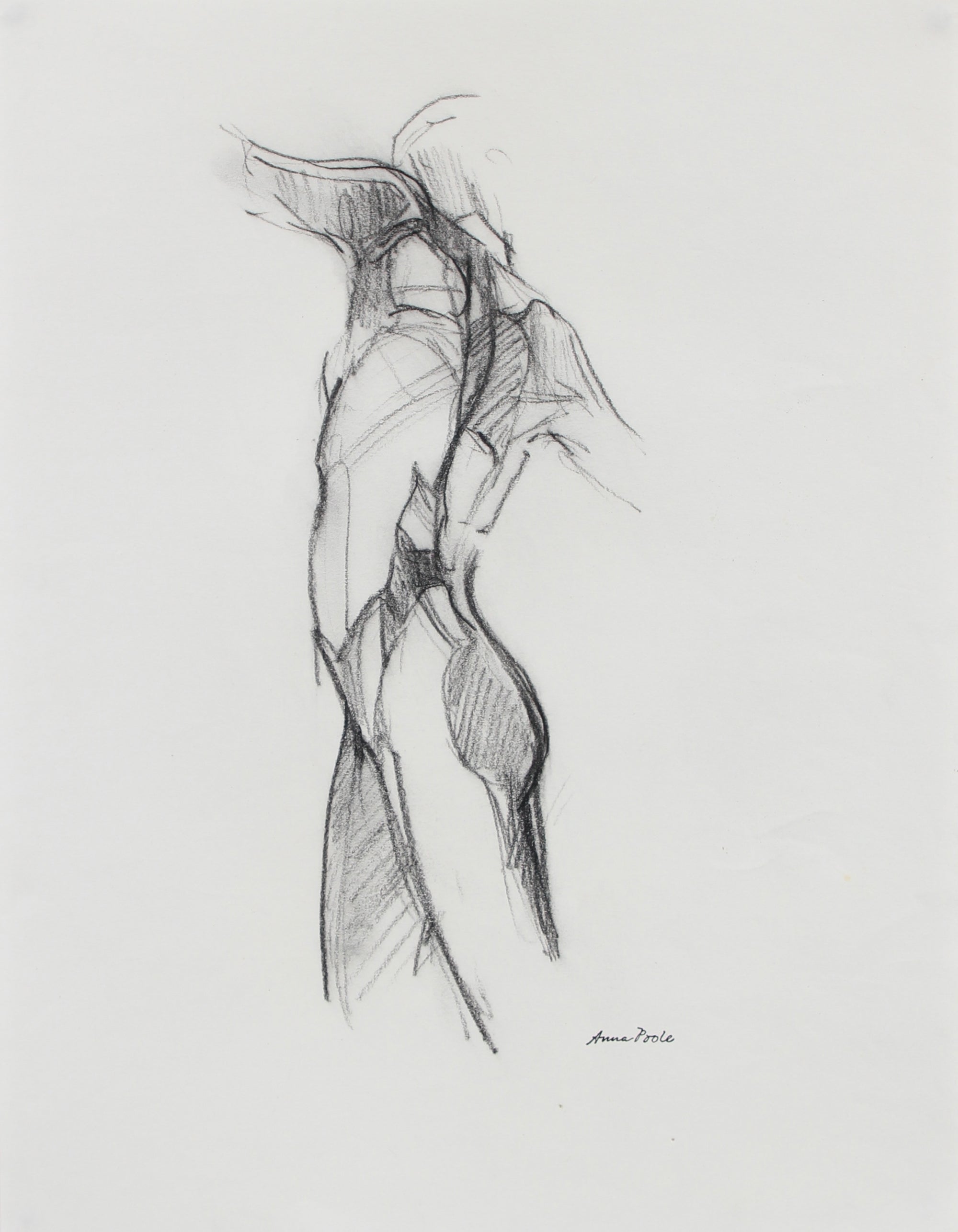 Nude Figure Study <br>Late 20th Century Charcoal <br><br>#98967