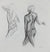 Nude Figure Study <br>Late 20th Century Charcoal <br><br>#99082