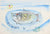 Playful Fish Dinner<br>1998 Watercolor & Ink<br><br>#99435