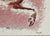 Abstract Bull<br>1968 Sand & Gouache <br><br>#99451