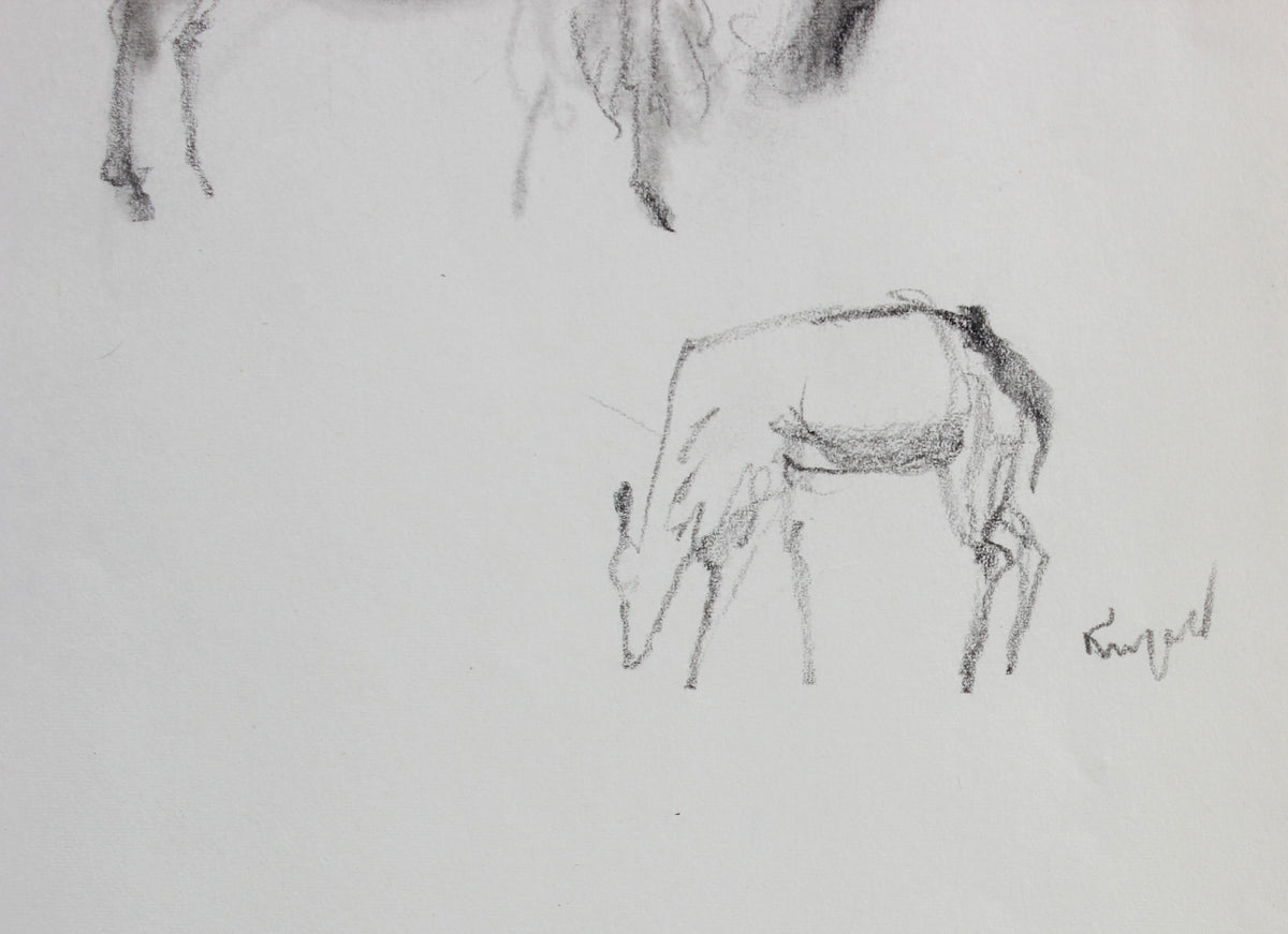 Monochrome Buffalo and Deer &lt;br&gt;1960-80s Ink&lt;br&gt;&lt;br&gt;#99545