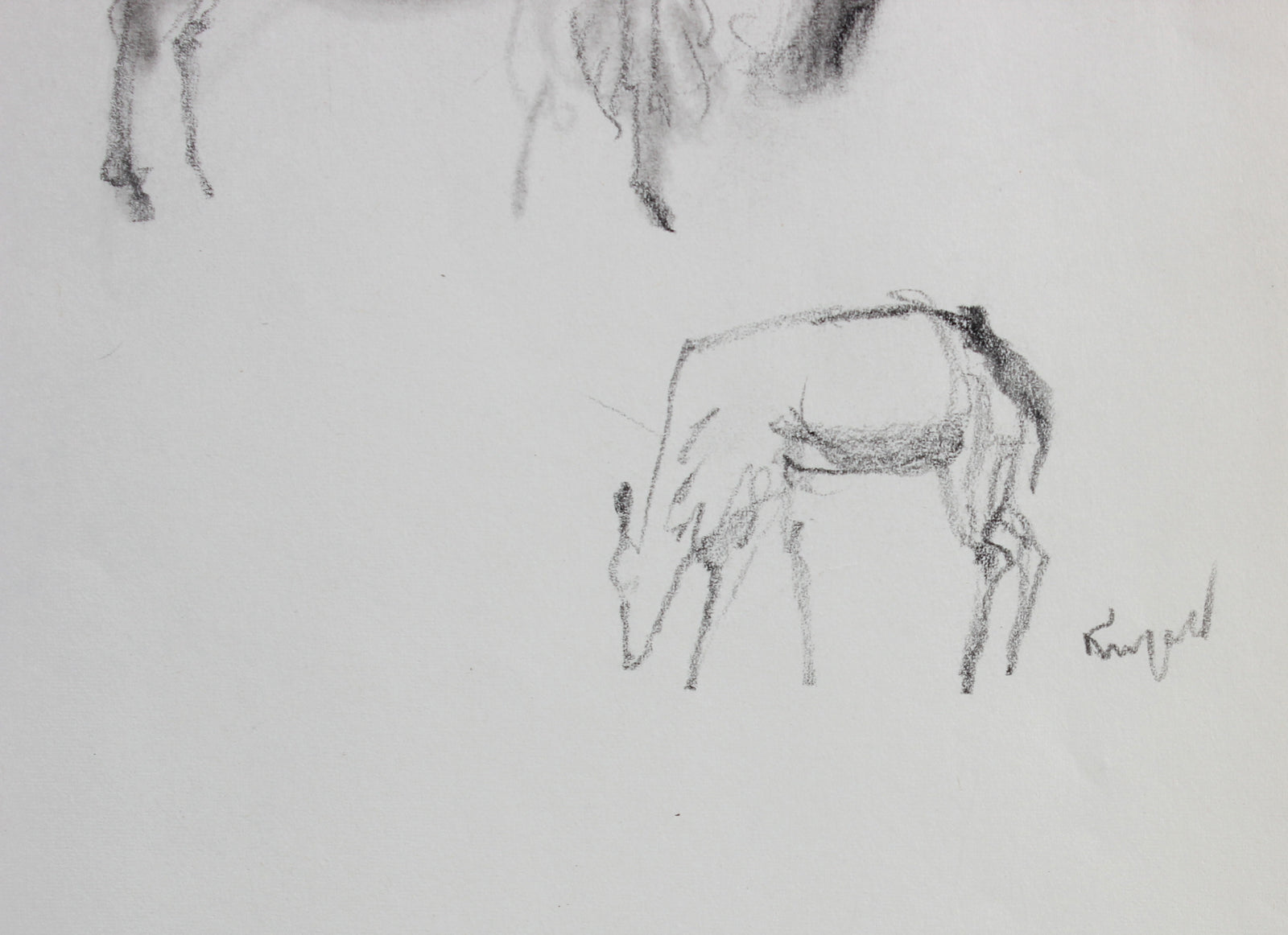 Monochrome Buffalo and Deer <br>1960-80s Ink<br><br>#99545