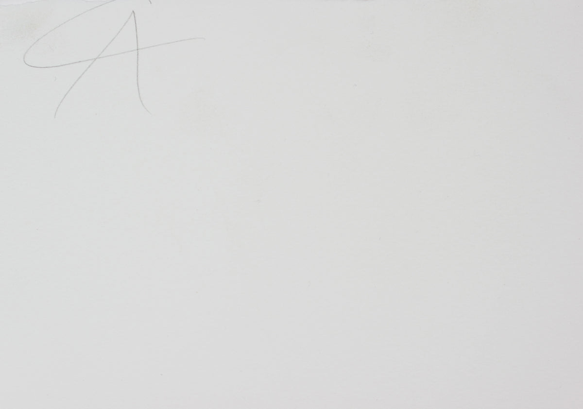 Red Pepper Print <br>1990-2000s Etching <br><br>#99672