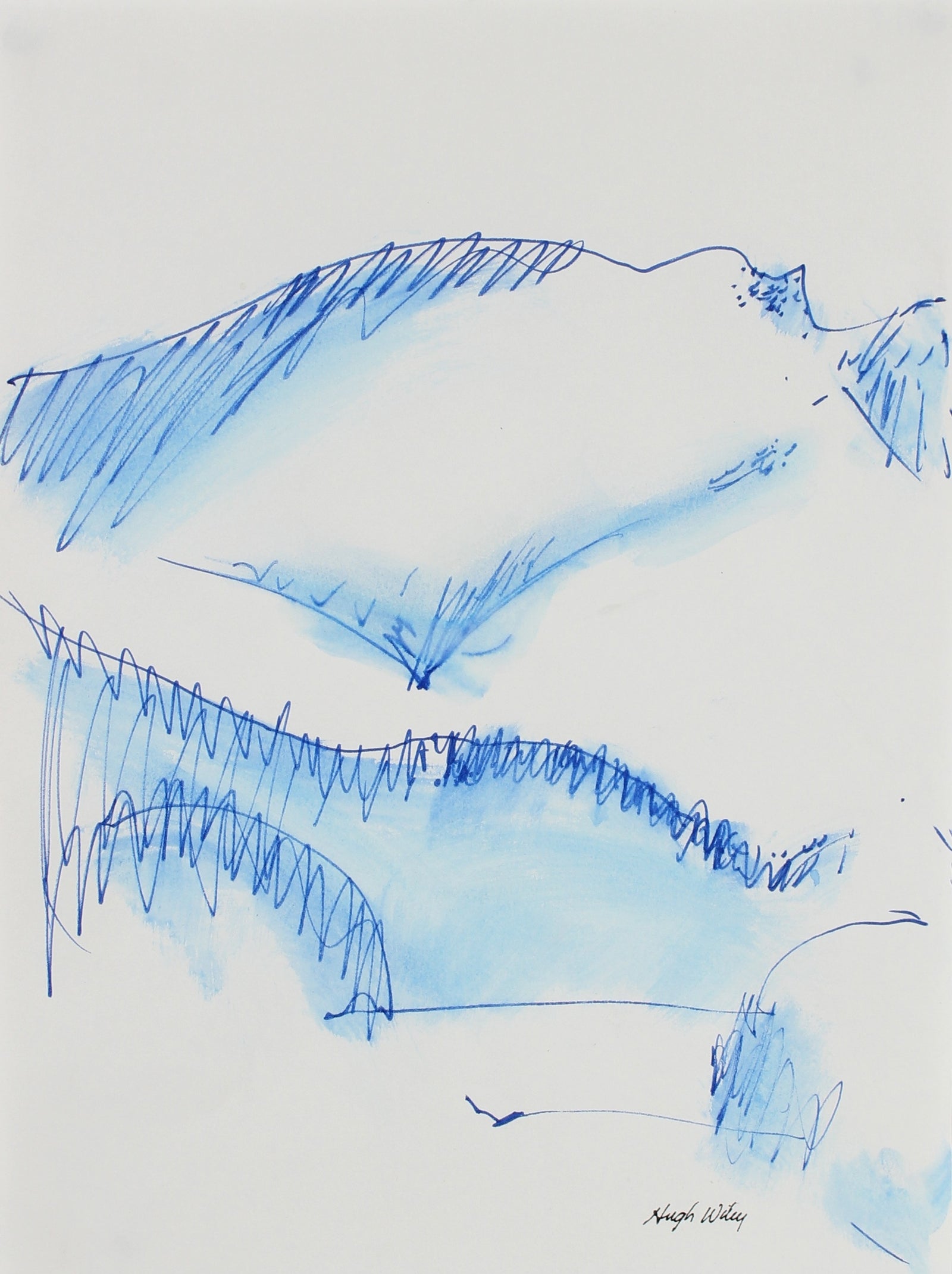 Blue Hills <br>1993 Ink <br><br>#A1811