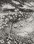 Pastoral Landscape with Sheep<br>1932 Ink<br><br>#A3277