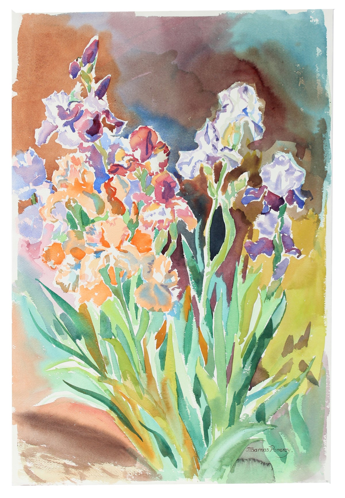 &lt;i&gt;Shirley&#39;s Iris&lt;/i&gt; &lt;br&gt;1982 Watercolor &lt;br&gt;&lt;br&gt;#A3567