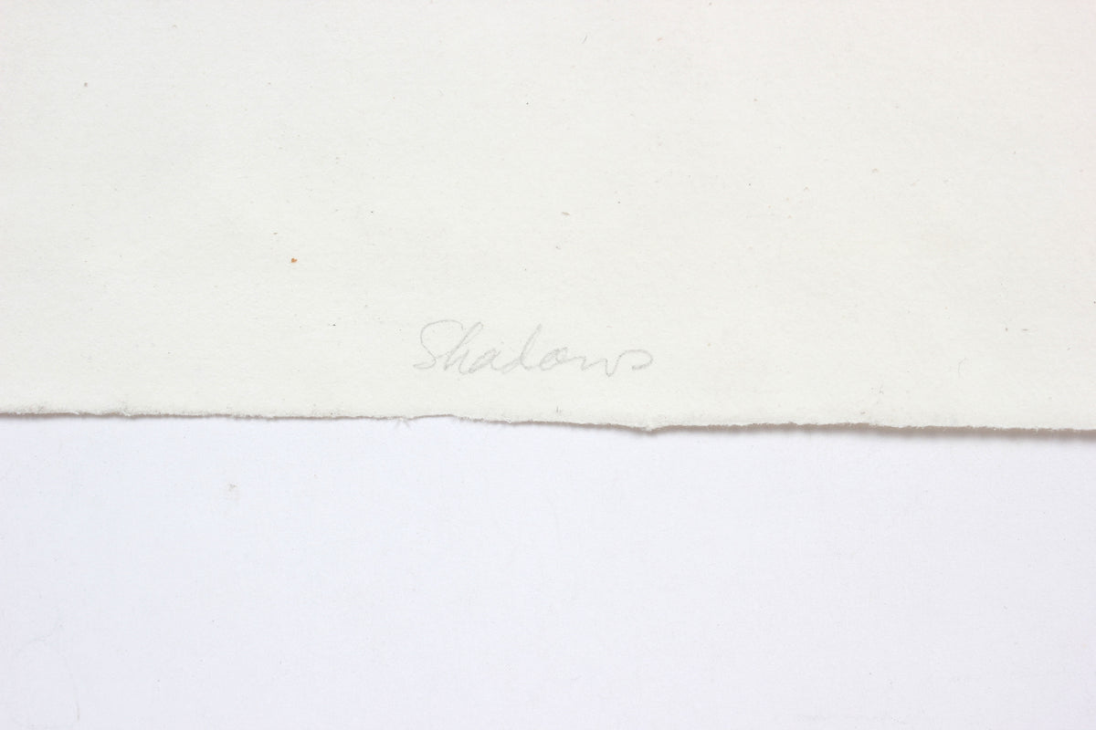 <i>Shadows</i><br>1969 Stone Lithograph<br><br>#A5963