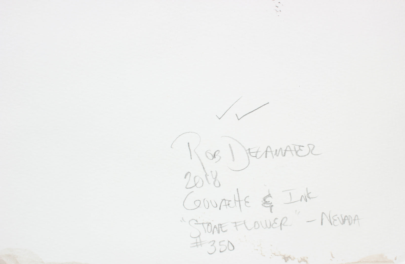 <i>Stone Flower, Nevada</i><br>2018 Gouache & Ink<br><br>#A6644