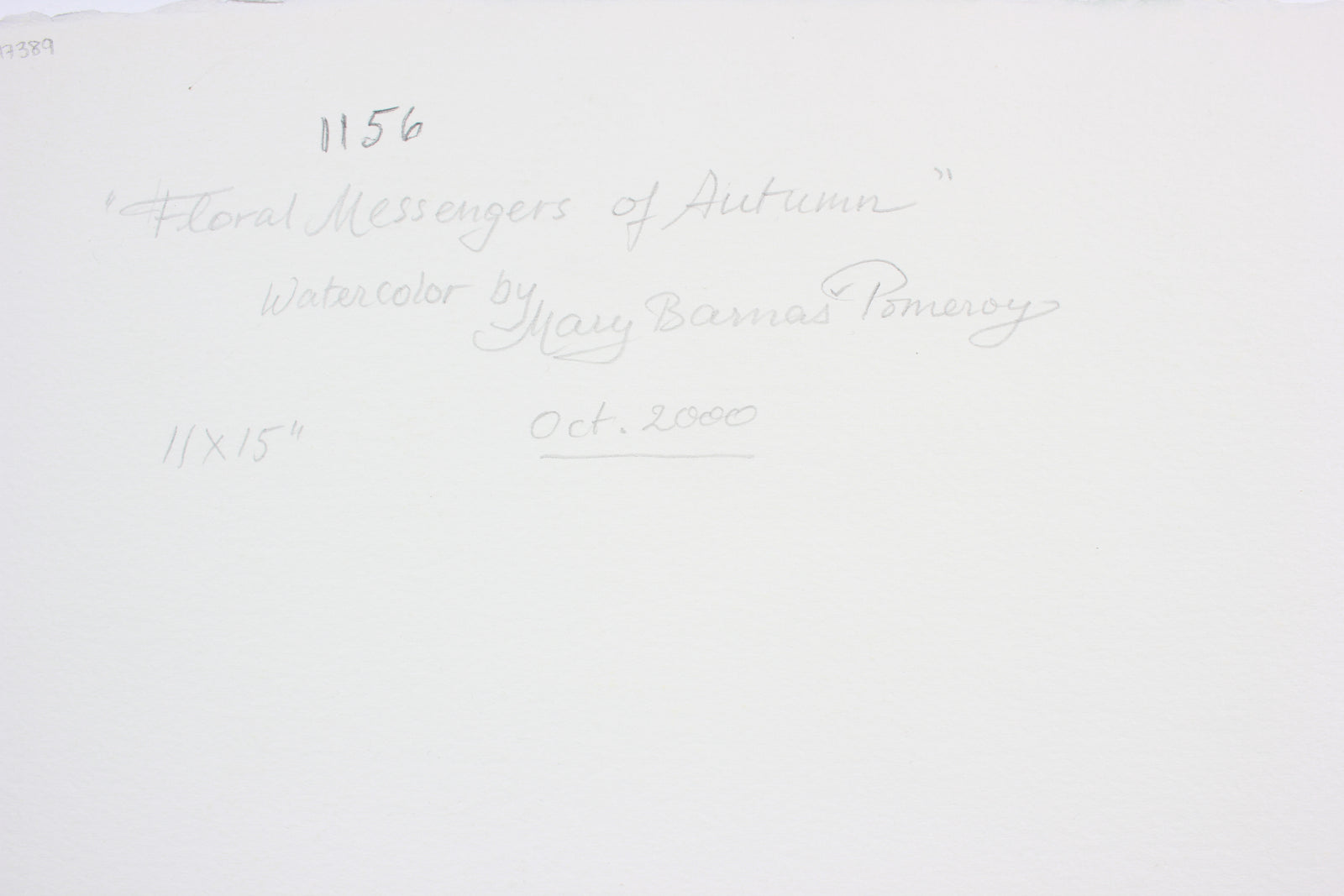 <i>Floral Messengers of Autumn</i> <br>October 2000 Watercolor <br><br>#A7389