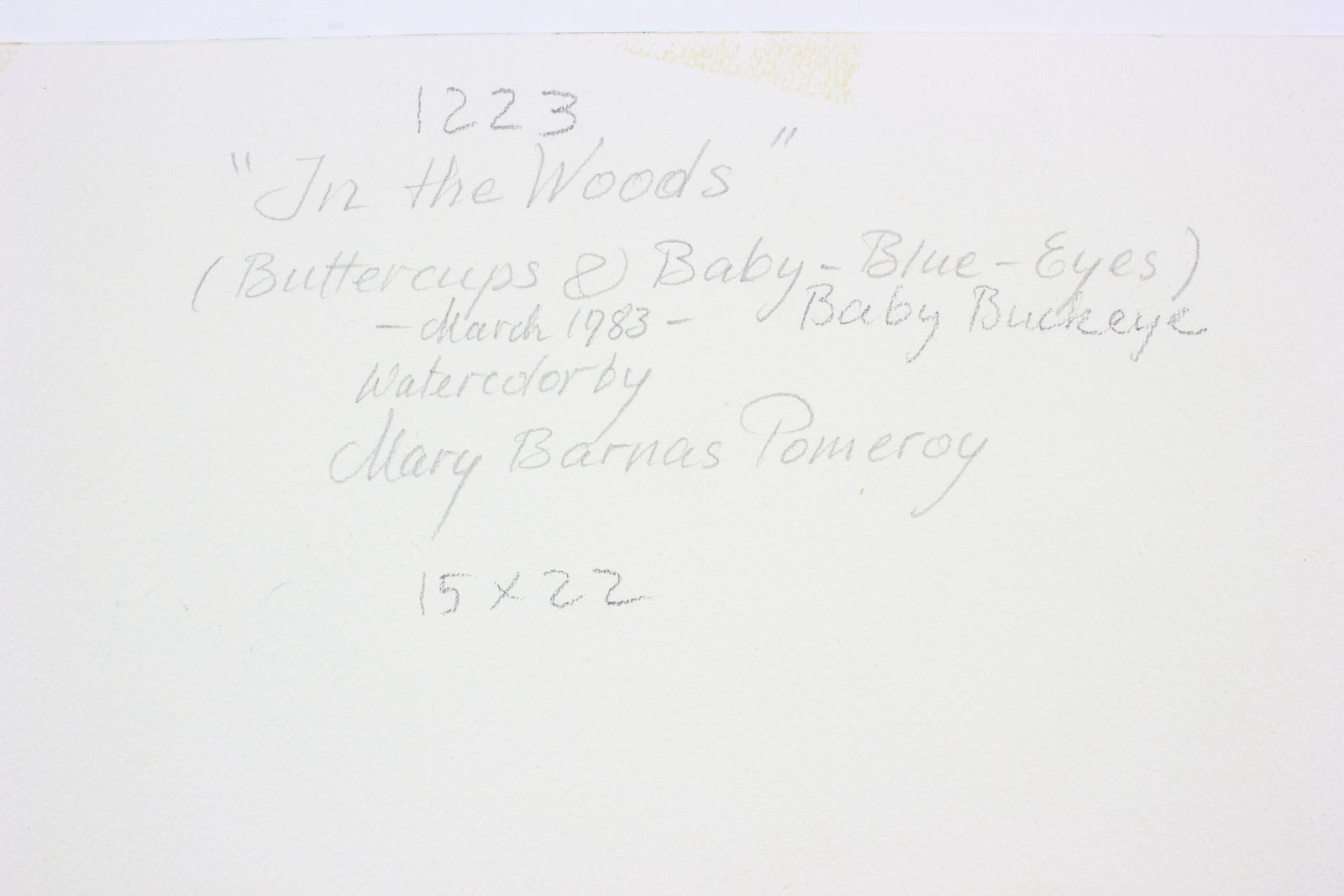 <i>In The Woods (Buttercups & Baby-Blue Eyes) </i><br>Late 20th Century Watercolor <br><br>#A7393