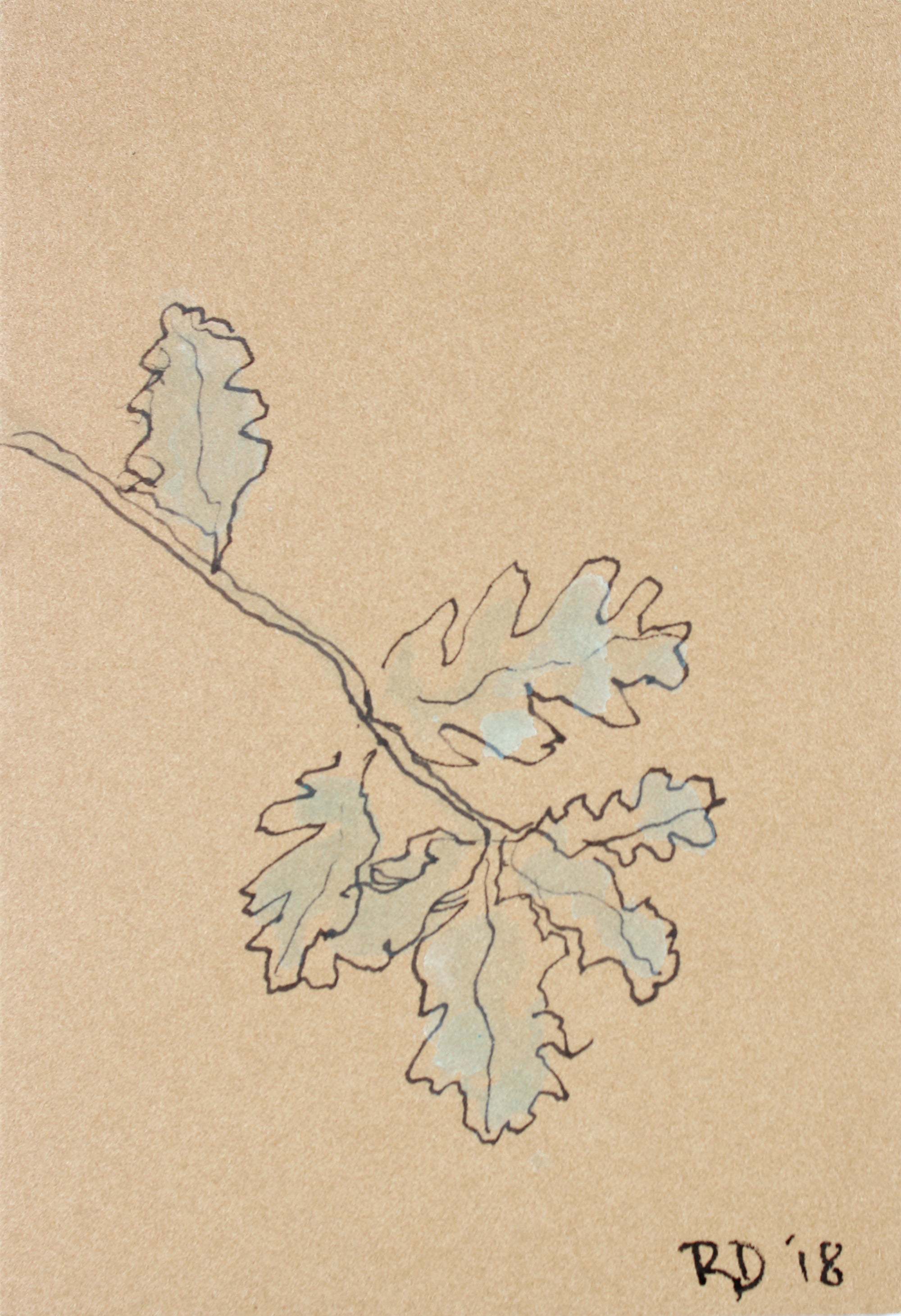 <i>Little Plants of Big Sur IV</i> <br>2018 Ink & Gouache on Paper <br><br>#A7482