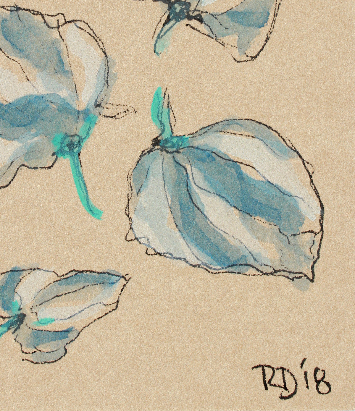 <i>Little Plants of Big Sur VI</i> <br>2018 Ink & Gouache on Paper <br><br>#A7484