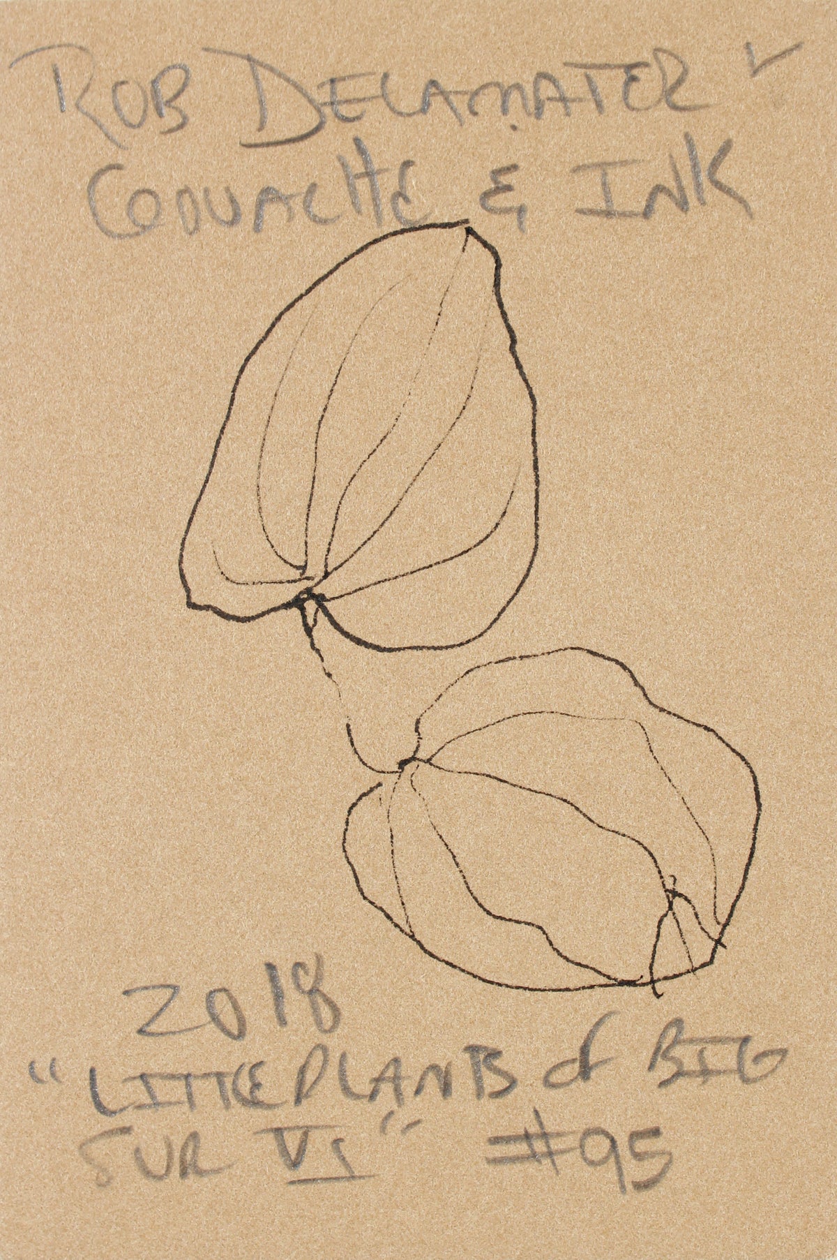 <i>Little Plants of Big Sur VI</i> <br>2018 Ink & Gouache on Paper <br><br>#A7484