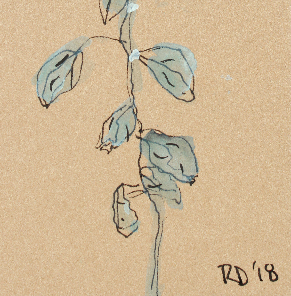 <i>Little Plants of Big Sur XI</i> <br>2018 Gouache & Ink <br><br>#A7488