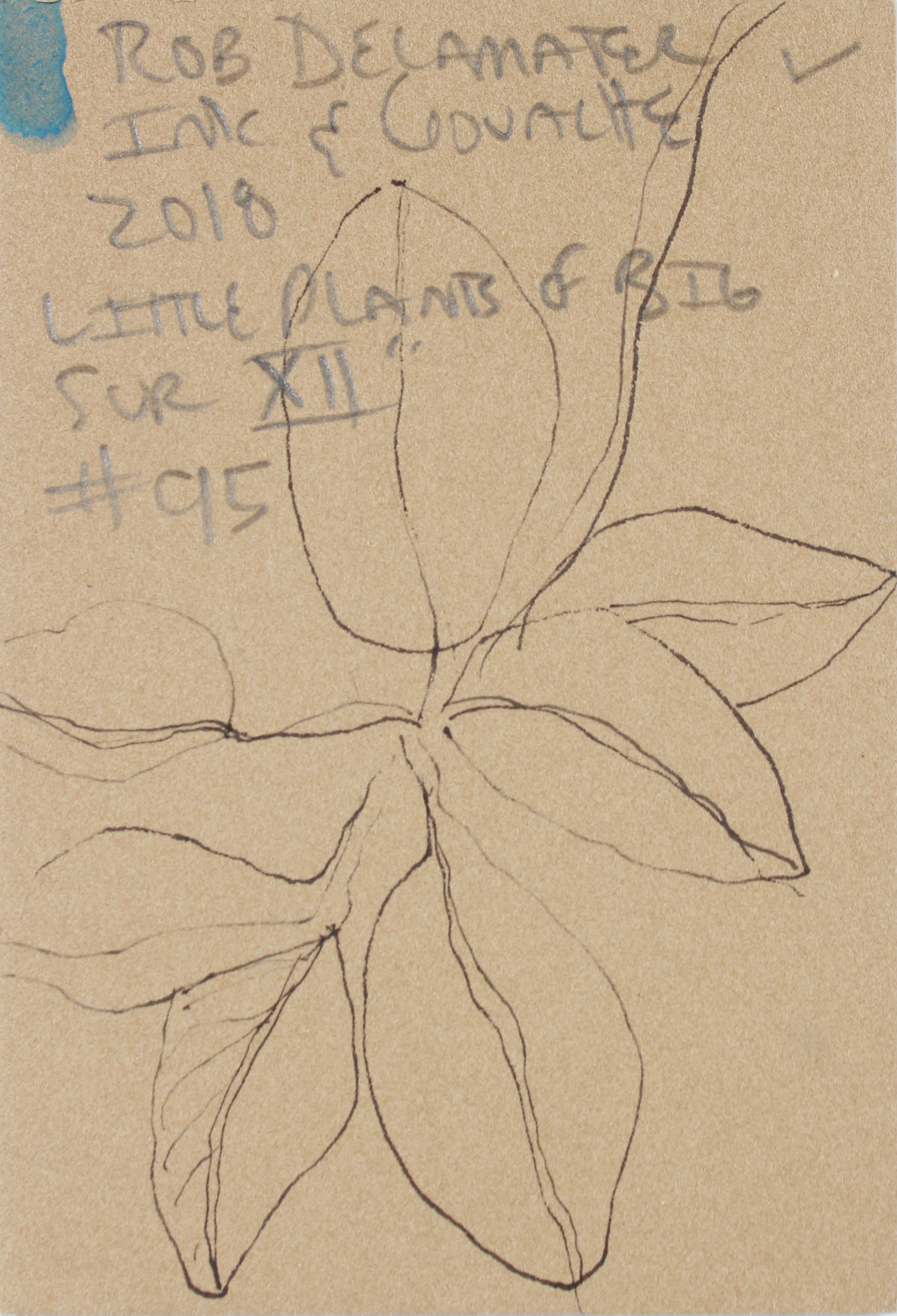 <i>Little Plants of Big Sur XII</i> <br>2018 Gouache & Ink <br><br>#A7490