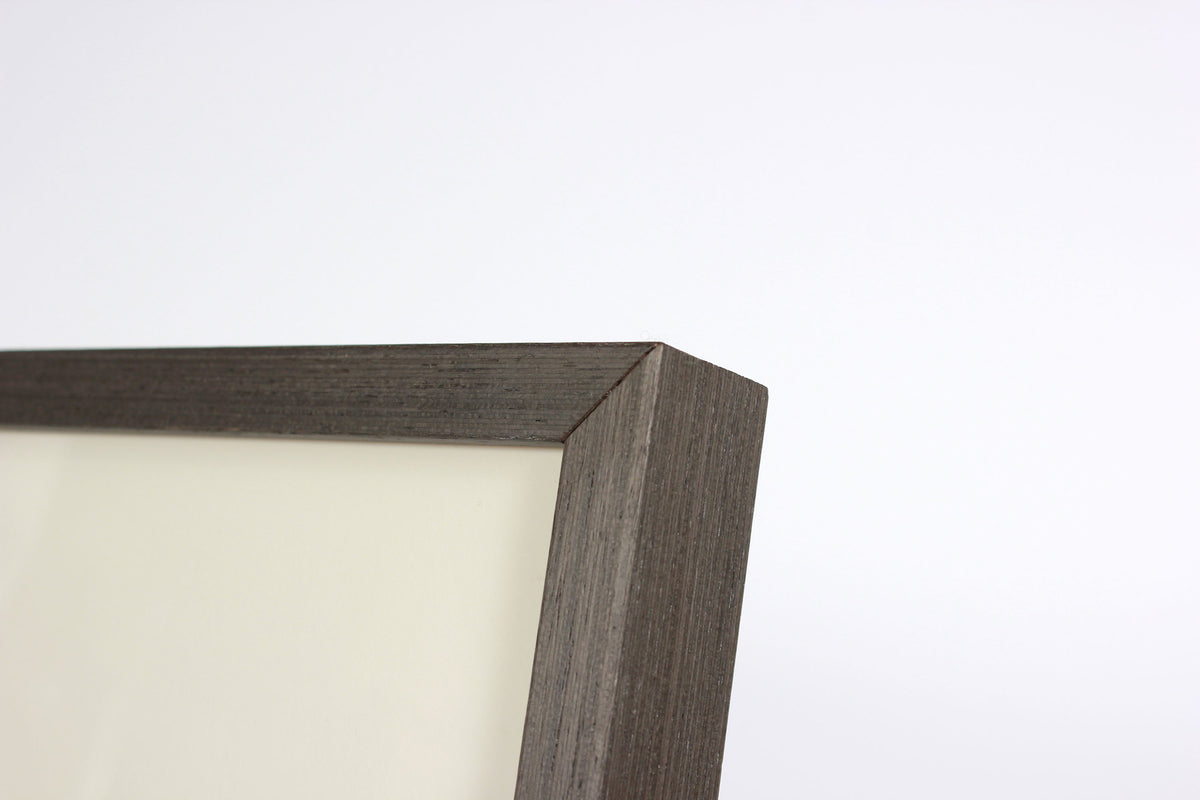 <i>Sea Flags</i> <br>2014 Monotype & Gouache <br><br>#A7694