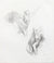 Spectral Female Nude Studies <br>20th Century Graphite <br><br>#A7978
