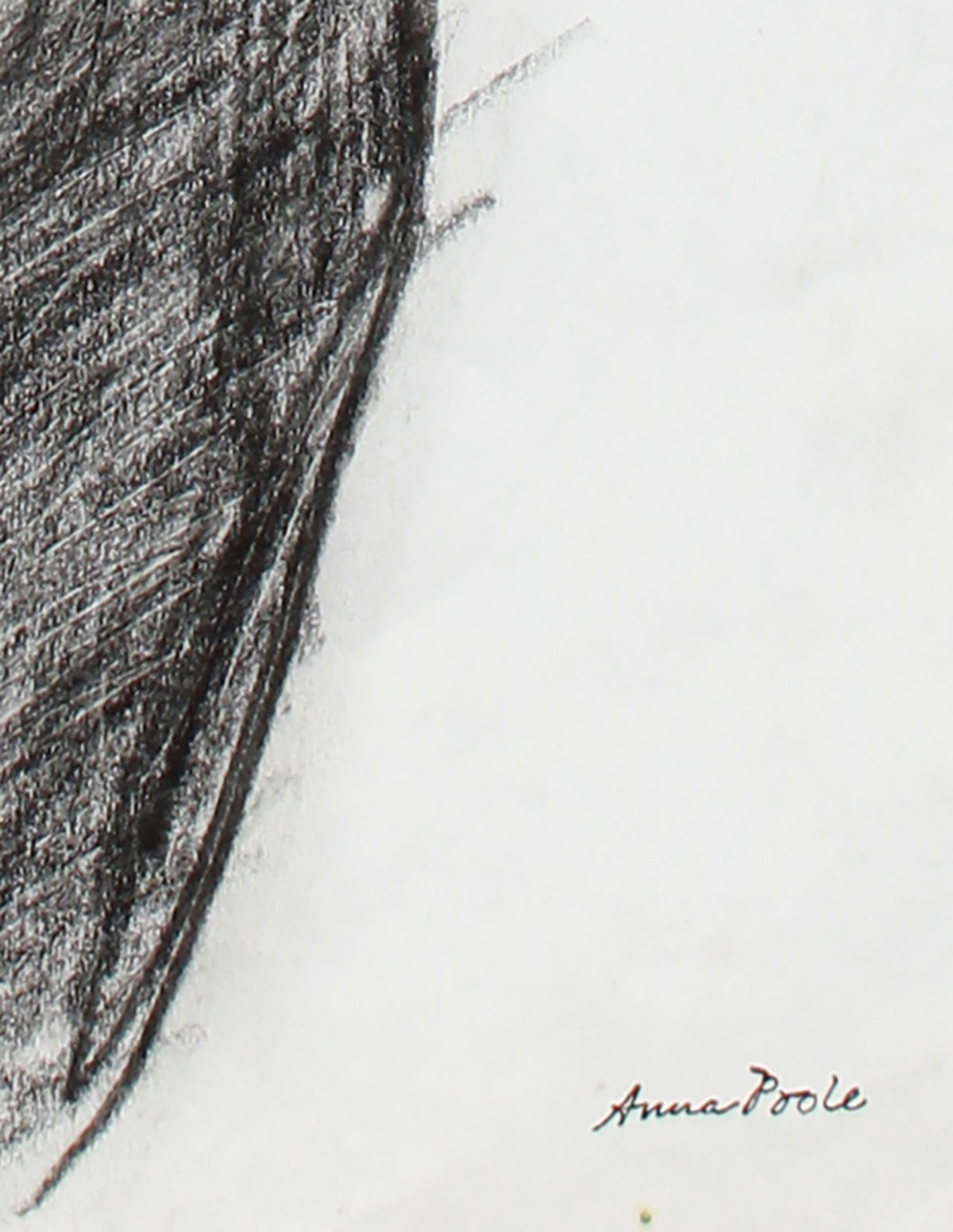 Chiaroscuro Torso Study <br>Late 20th Century Graphite <br><br>#A7979