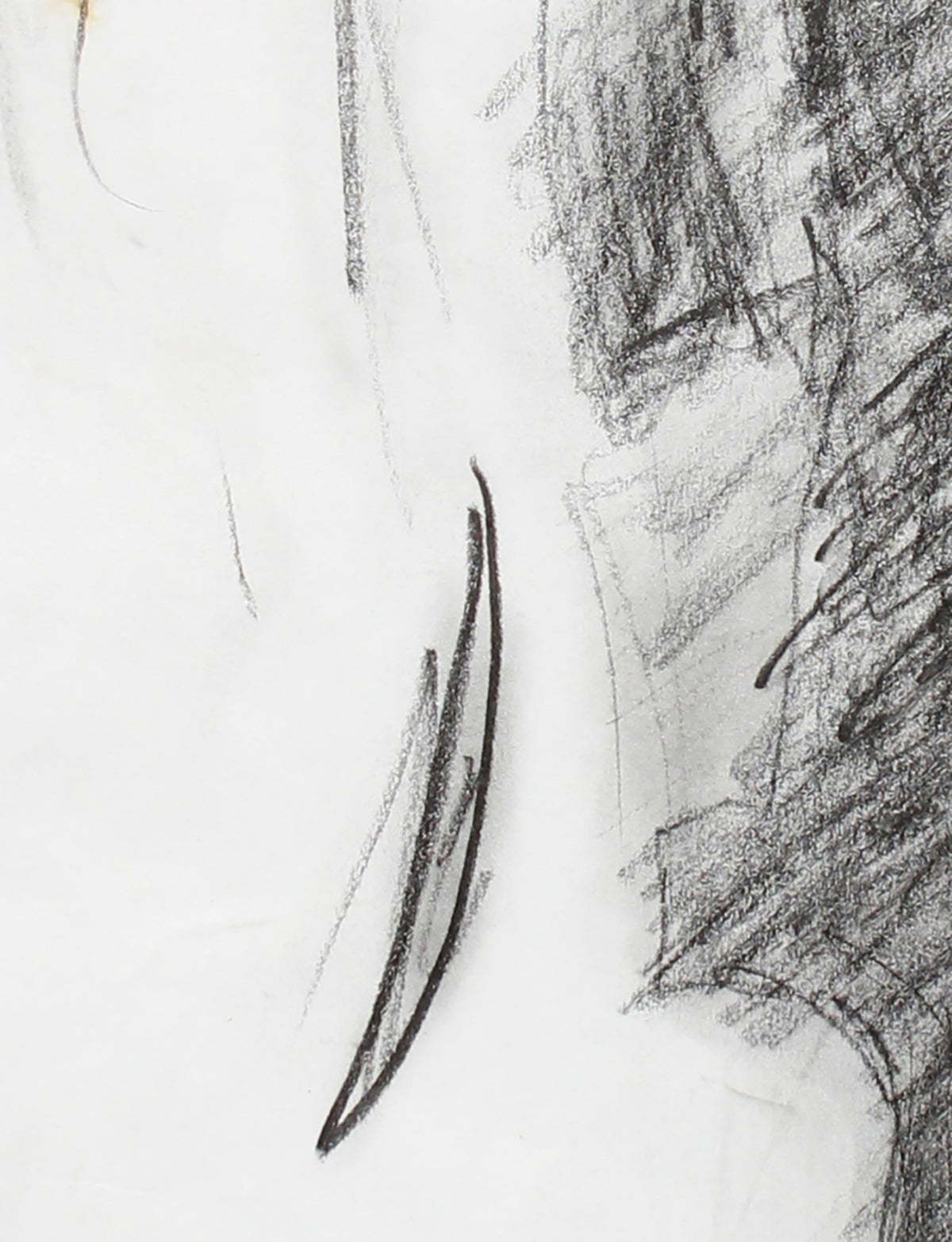 Chiaroscuro Torso Study <br>Late 20th Century Graphite <br><br>#A7979