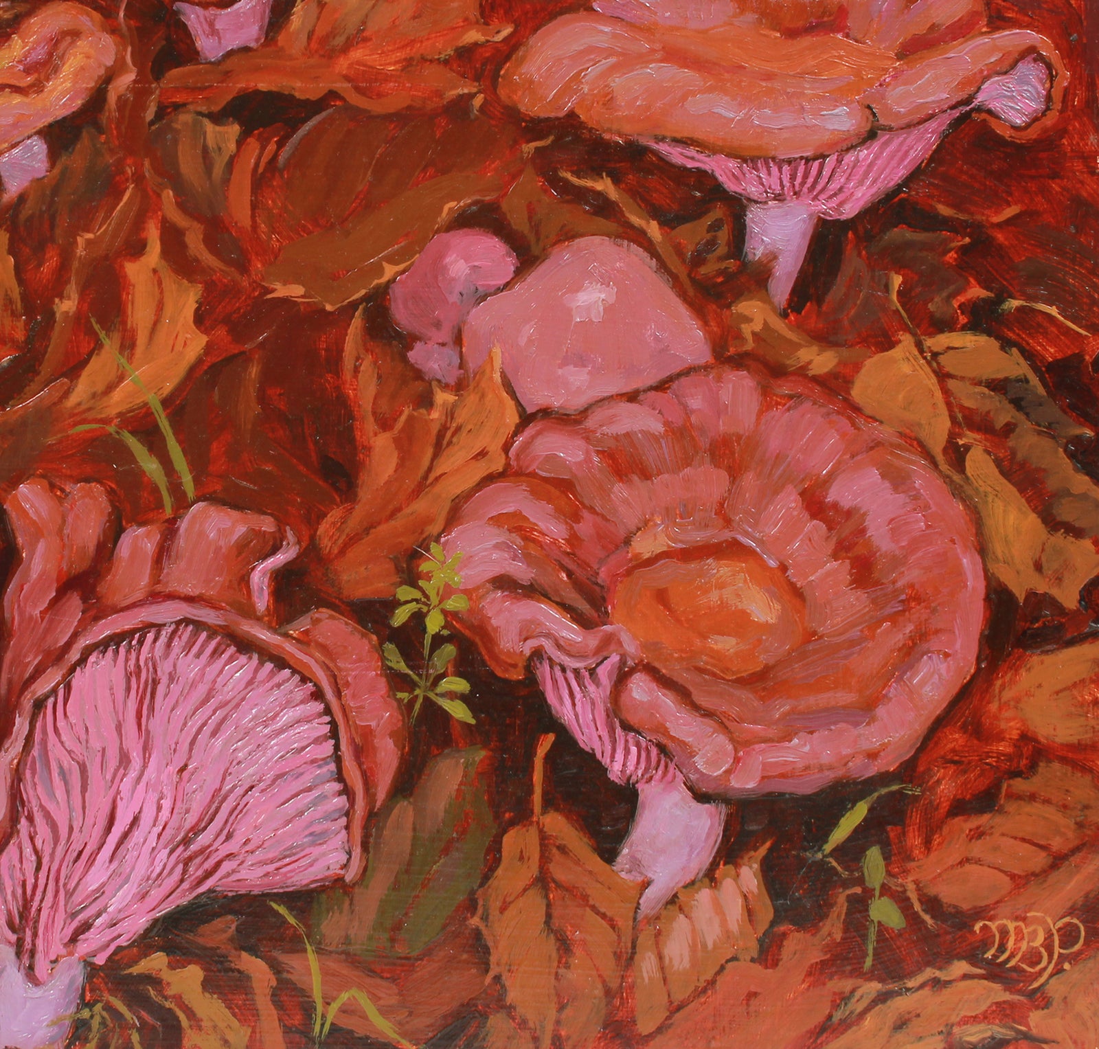 <i>Lepista Nuda</i> <br>20th Century Oil <br><br>#A8036