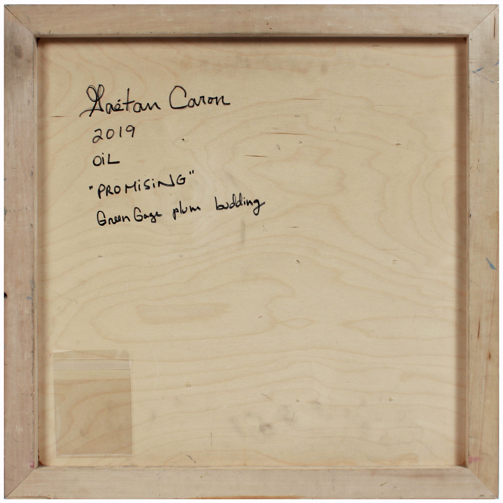 <i>Promising</i> <br>2019 Oil on Wood <br><br>#A8200