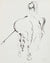 Surreal Horse & Man Drawing <br>1960-80s Ink <br><br>#A8209