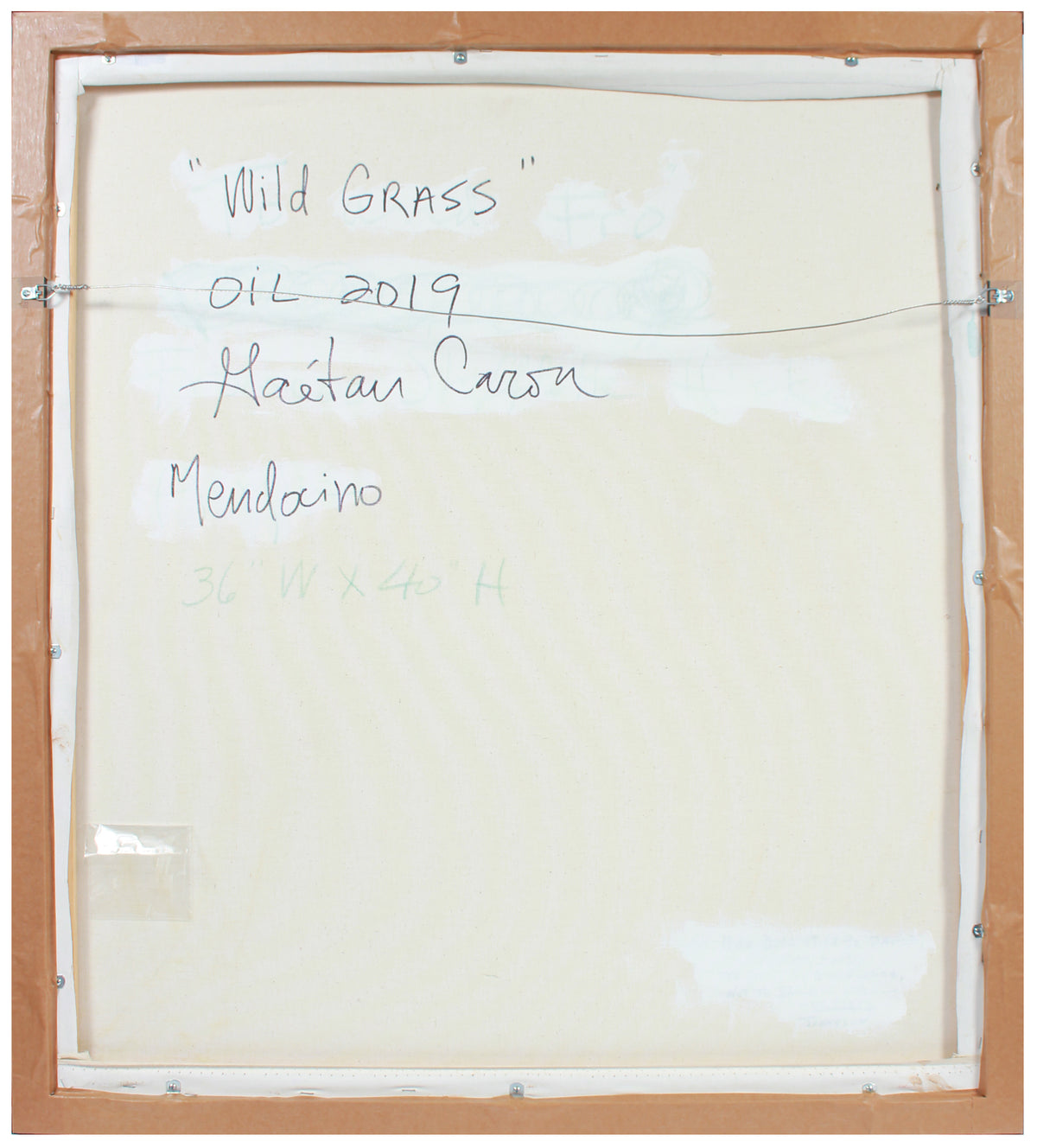 <i>Wild Grass</i> <br>2019 Oil <br><br>#A8800