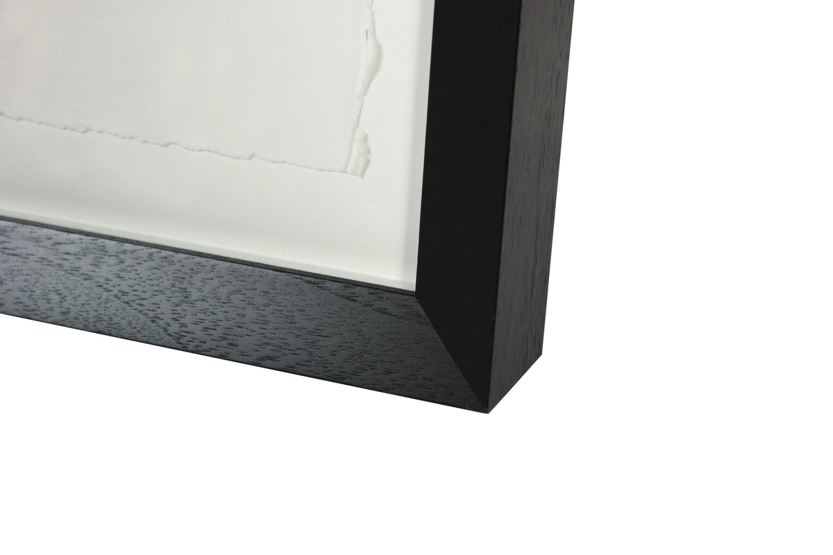 <i>Naiad II</i> <br>2019 Abstract Monotype <br><br>#A9079