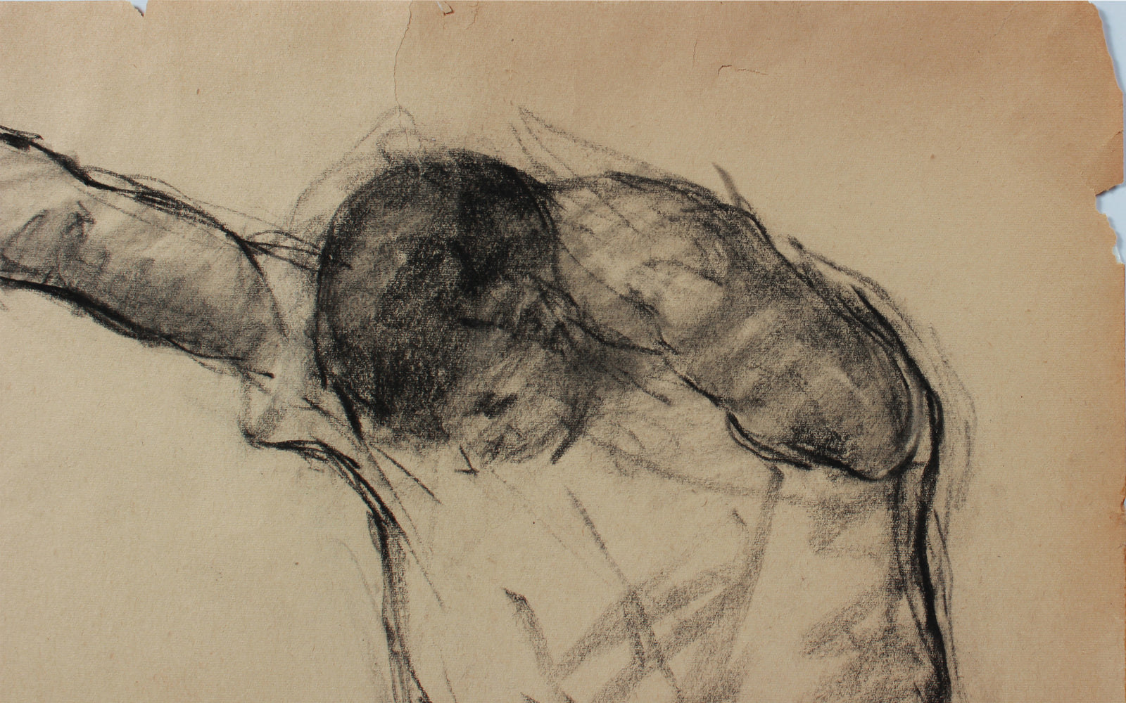 <i>Artist Students League</i> <br>1947 Charcoal <br><br>#A9126