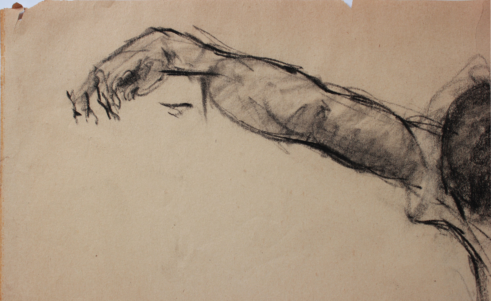 <i>Artist Students League</i> <br>1947 Charcoal <br><br>#A9126