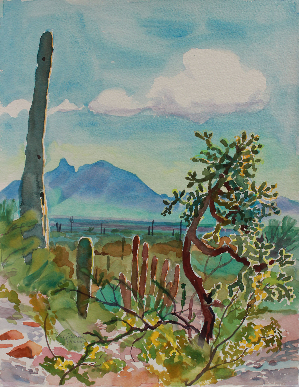 &lt;i&gt;Saguaros, Organpipes &amp; Cholla&lt;/i&gt; &lt;br&gt;1988 Watercolor &lt;br&gt;&lt;br&gt;#A9369