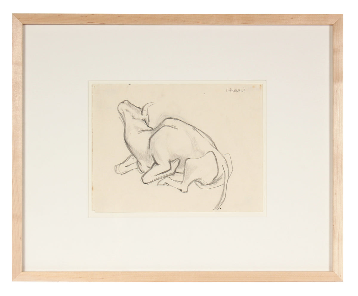 Drawing of a Bull, Mexico&lt;br&gt;1947 Graphite&lt;br&gt;&lt;br&gt;#86549