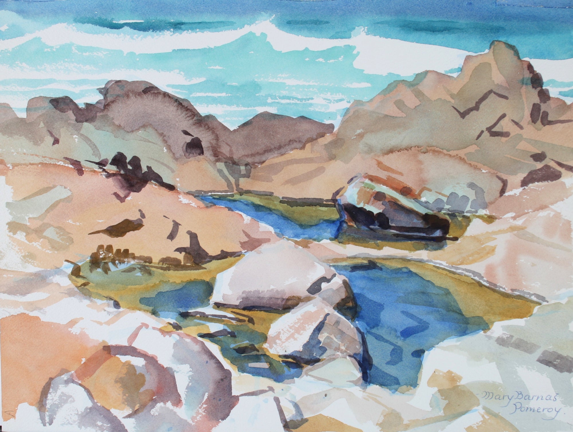 <i>Tidepool - Pacific Grove</i> <br>1987 Watercolor <br><br>#72036
