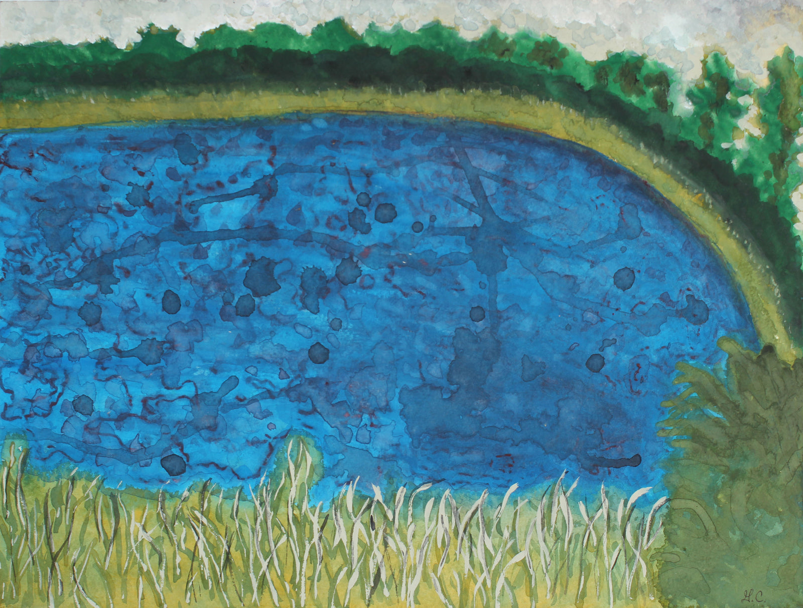 <i>Lac Perkins</i>, Québec <br>2018 Ink & Gouache <br><br>#A4436