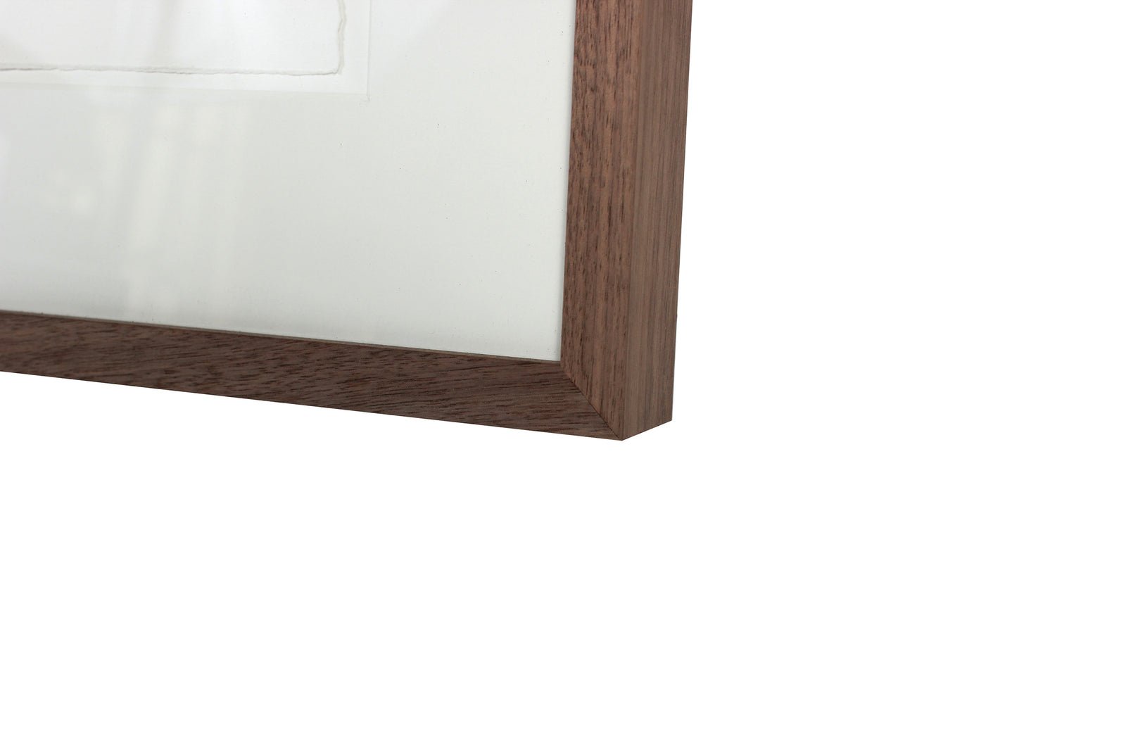 <i>Personal History</i> <br>2019 Monotype & Gouache <br><br>#B0240