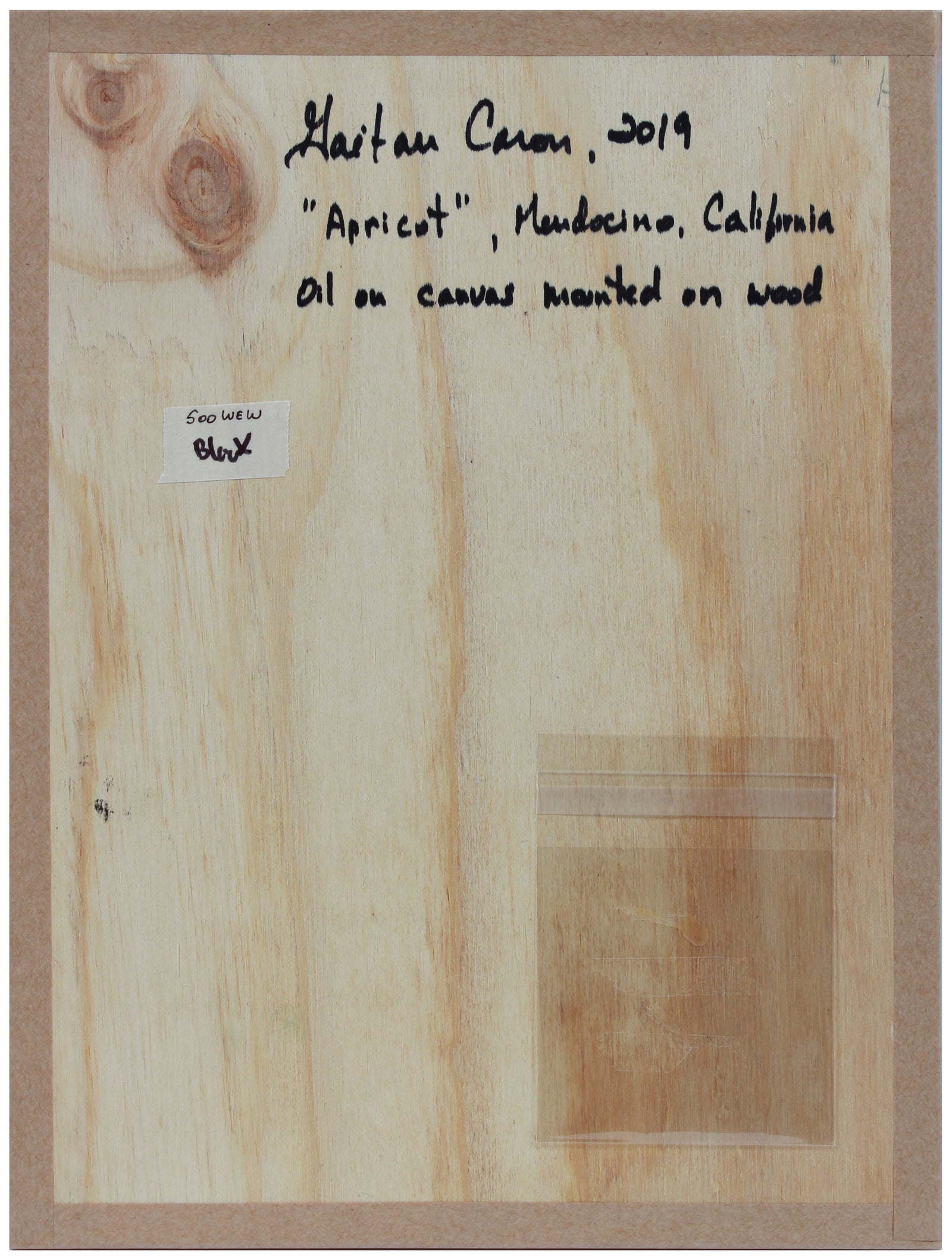 <i>Apricot</i> <br>2019 Oil on Canvas Mounted to Wood <br><br>#B0345