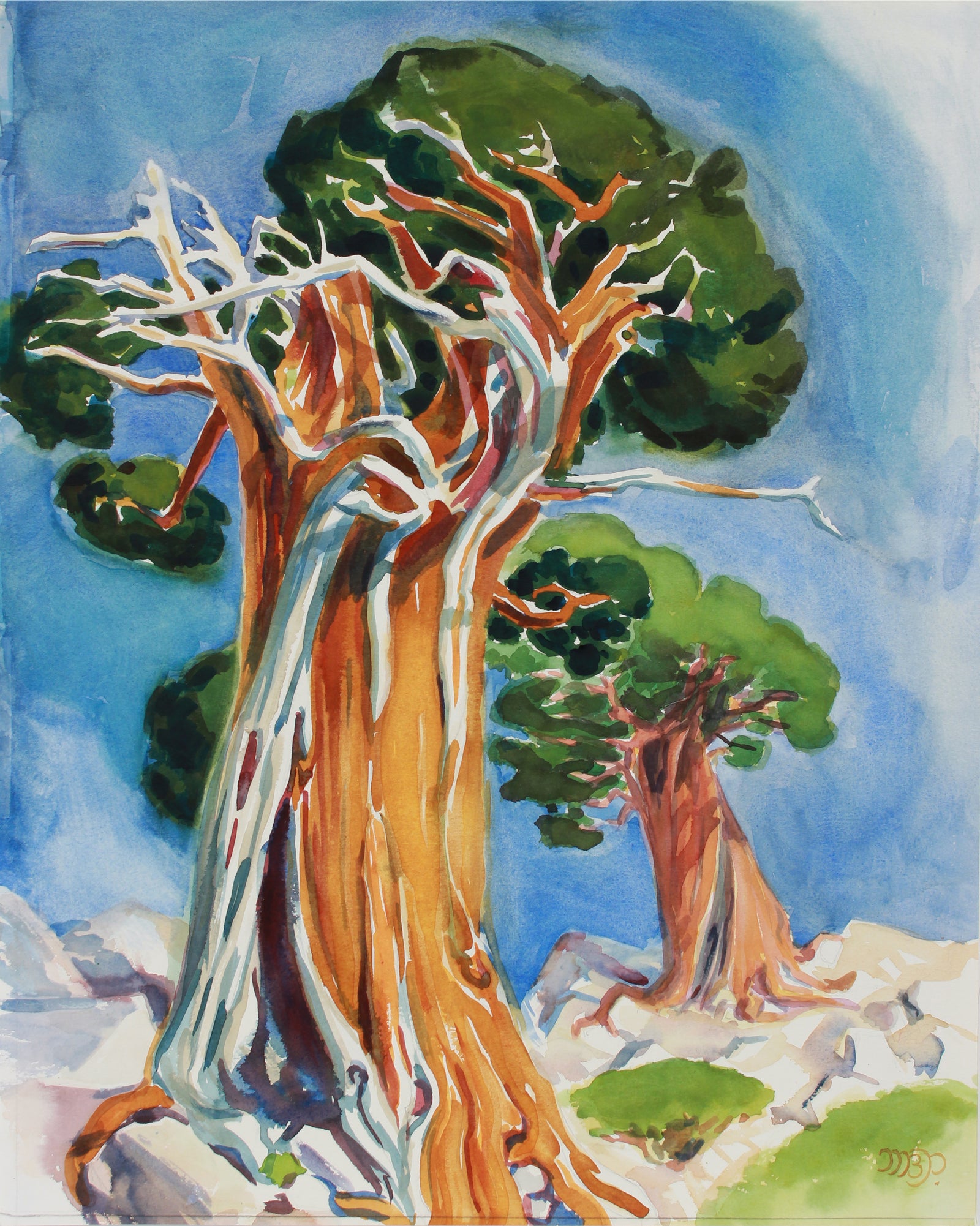 <i>Age-Old Juniper, Susie Lake</i> <br>20th Century Watercolor <br><br>#B0539