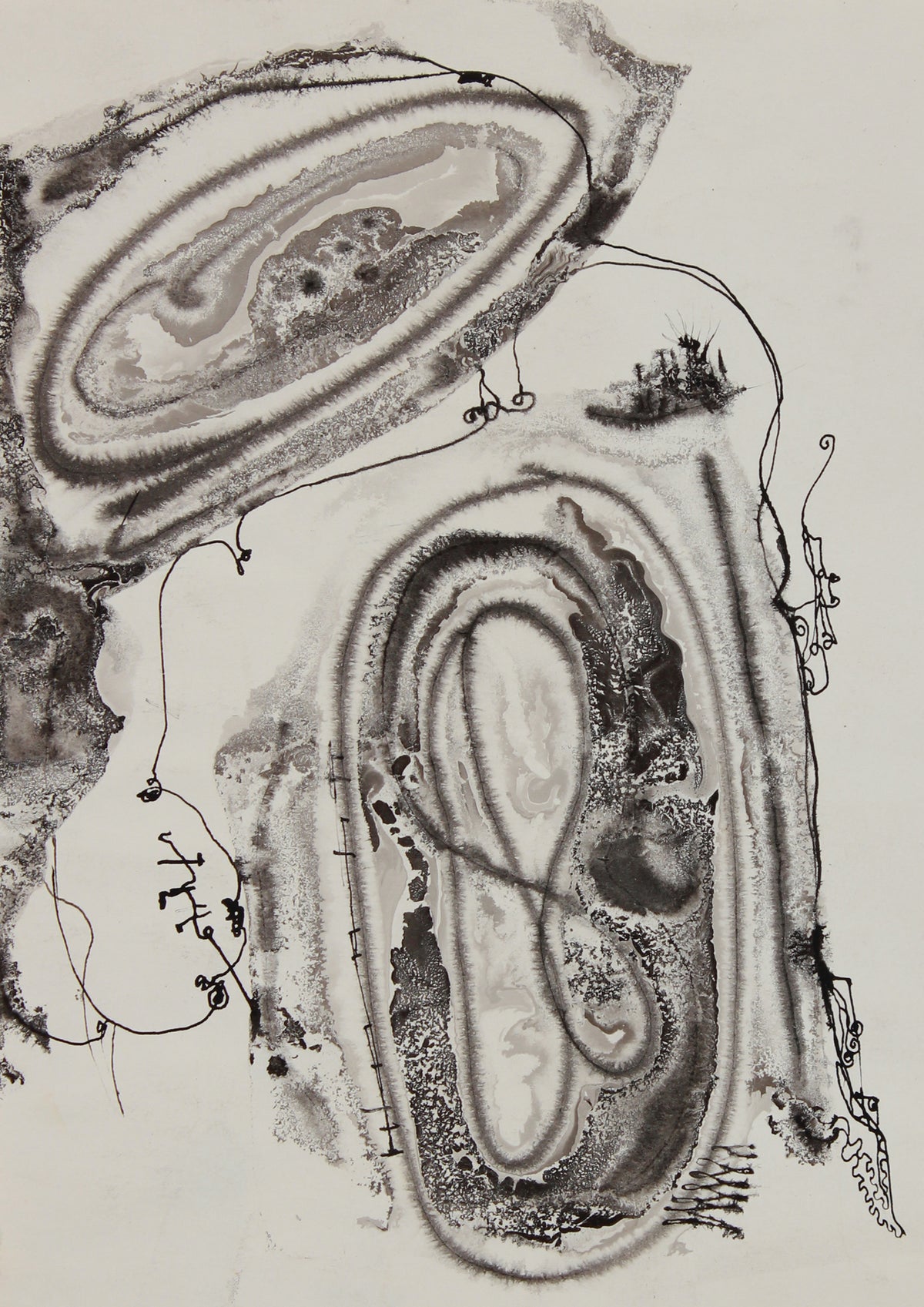 Organic Abstracted Forms &lt;br&gt;1950-60s Ink &lt;br&gt;&lt;br&gt;#B0791