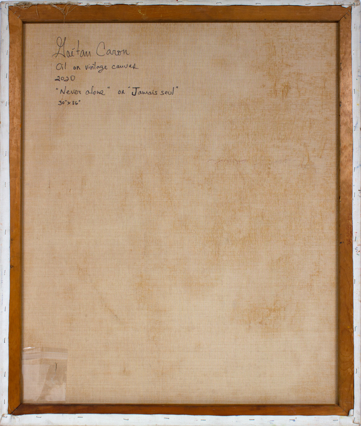 <i>Never Alone or Jamais seul</i> <br>2020 Oil on Canvas <br><br>#B0952