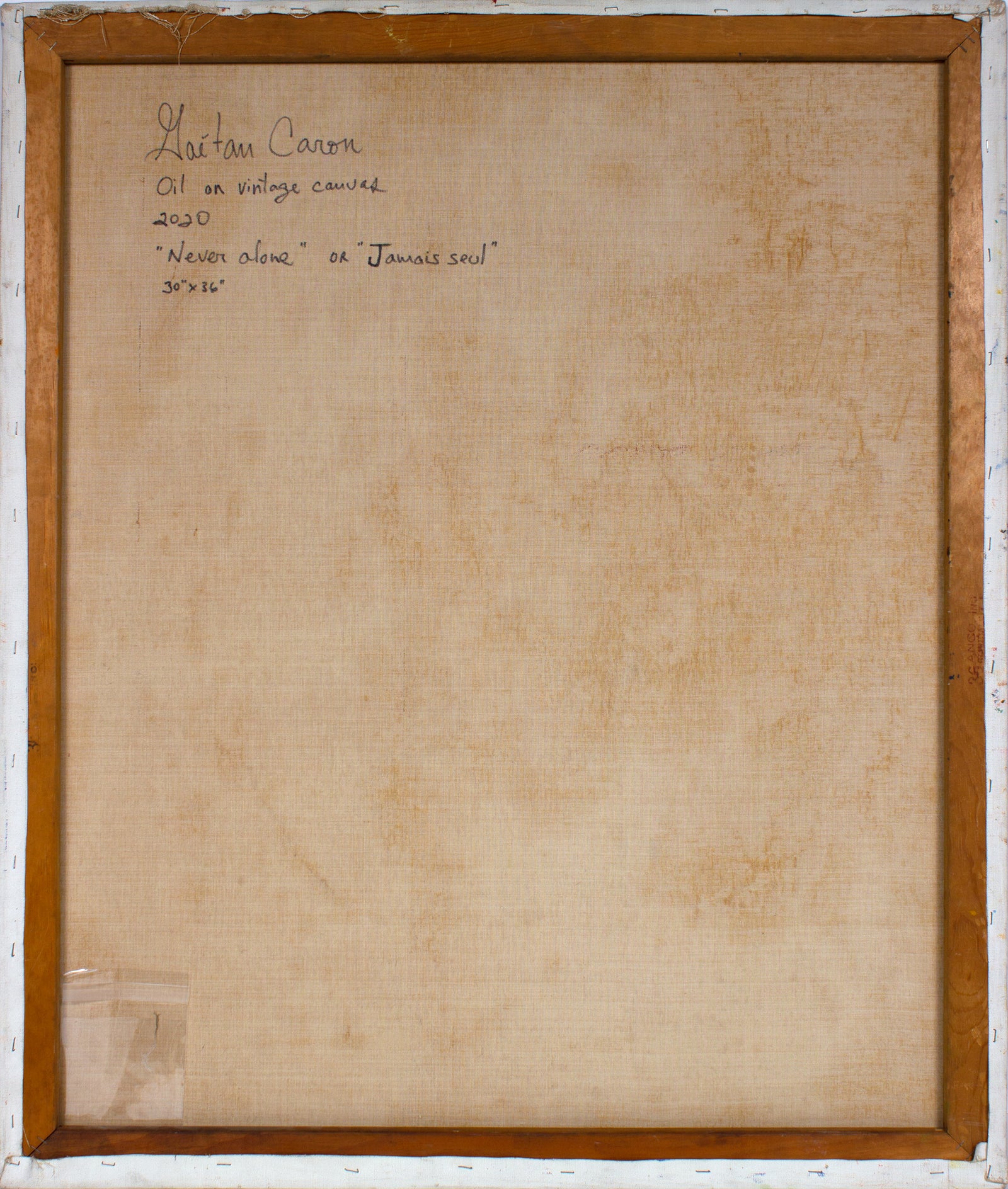 <i>Never Alone or Jamais seul</i> <br>2020 Oil on Canvas <br><br>#B0952