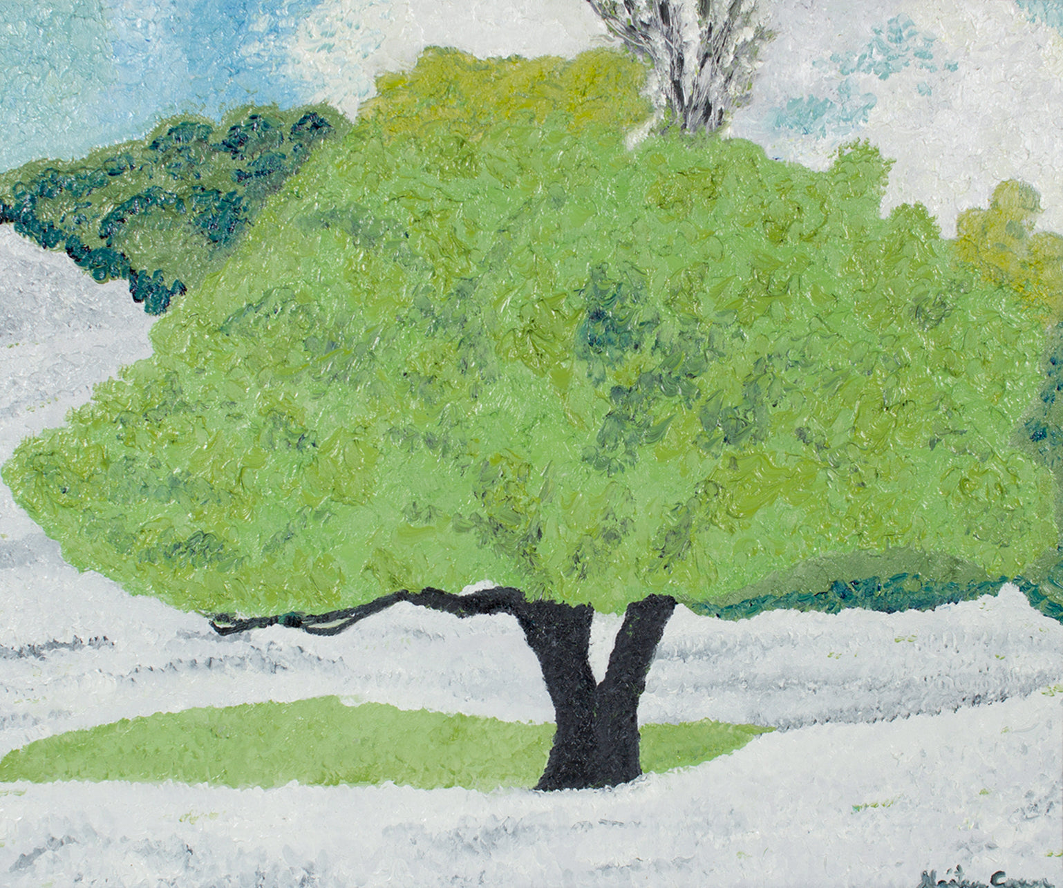 <i>California Buckeye</i> <br>2020 Oil on Canvas <br><br>#B1371