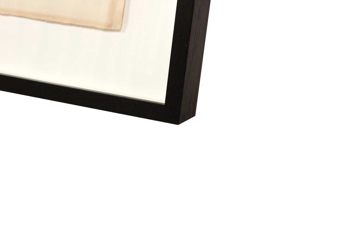 <i>Anemones</i> <br>Early-Mid 20th Century Color Lithograph <br><br>#B1616