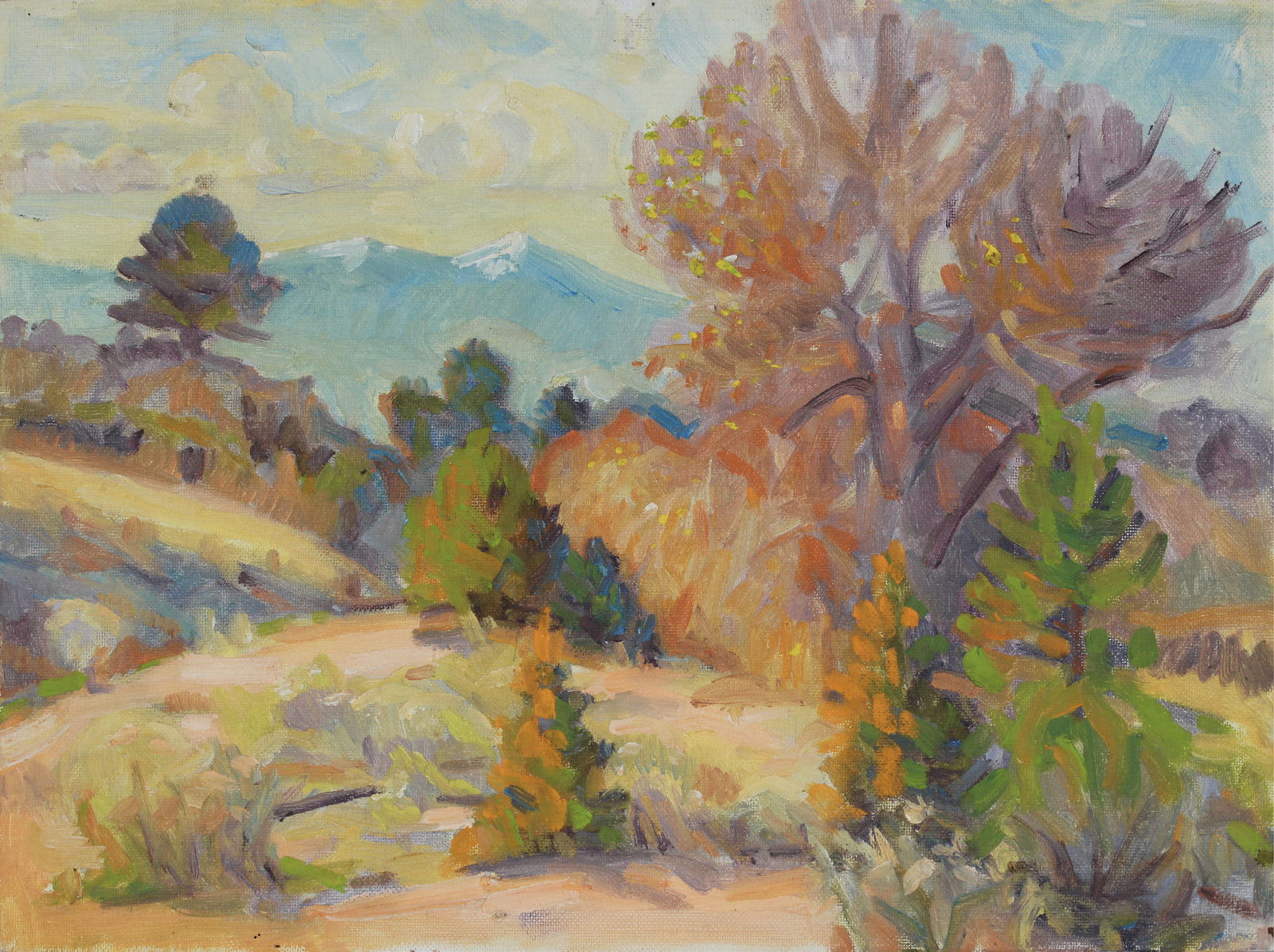 Desert Scrub Landscape <br>20th Century Oil <br><br>#B2614